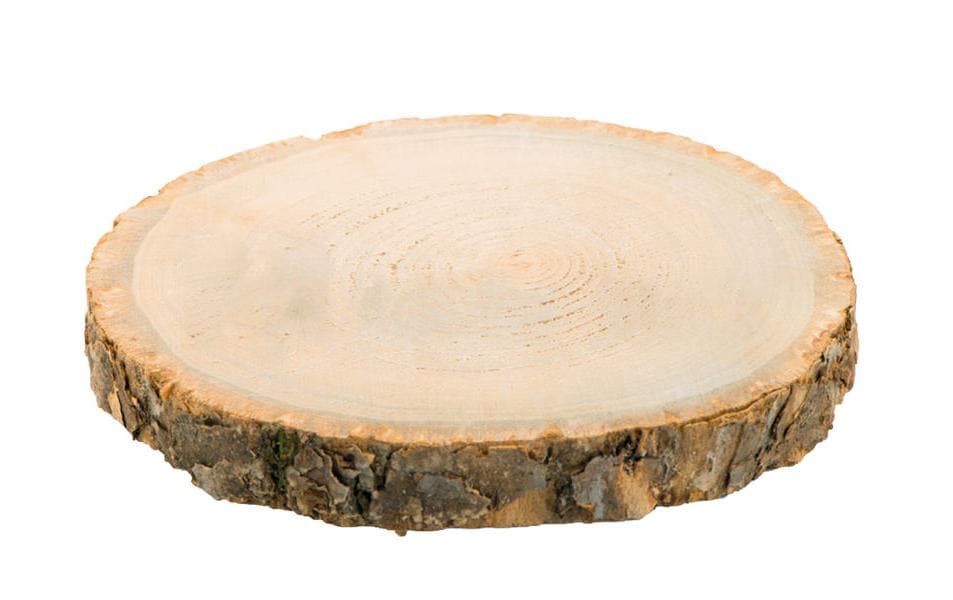 Dekomat AG Holzscheiben 34 x 3.5 cm Dekomat AG Holzscheiben 34 x 3.5 cm