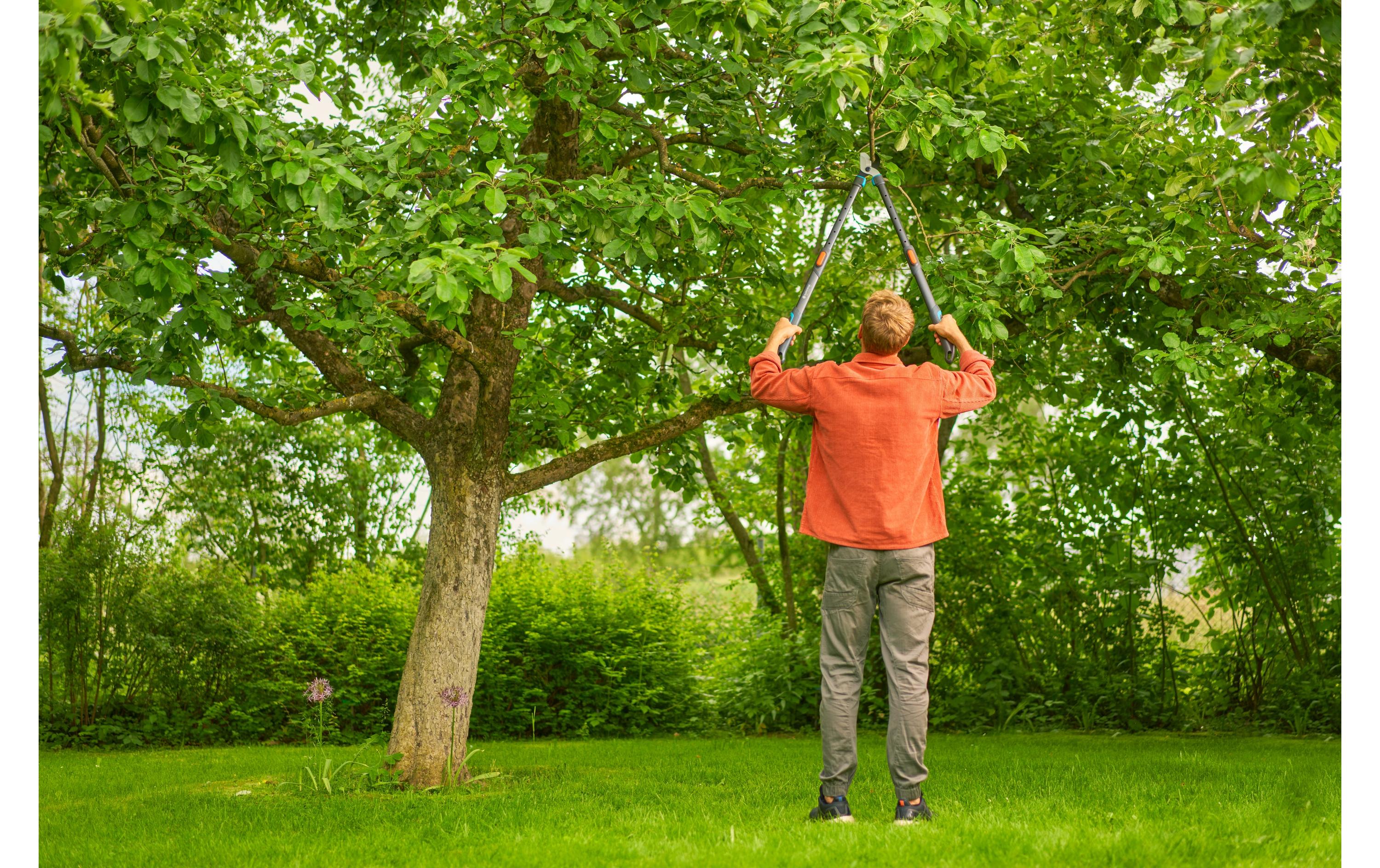 GARDENA Astschere TeleCut pro L