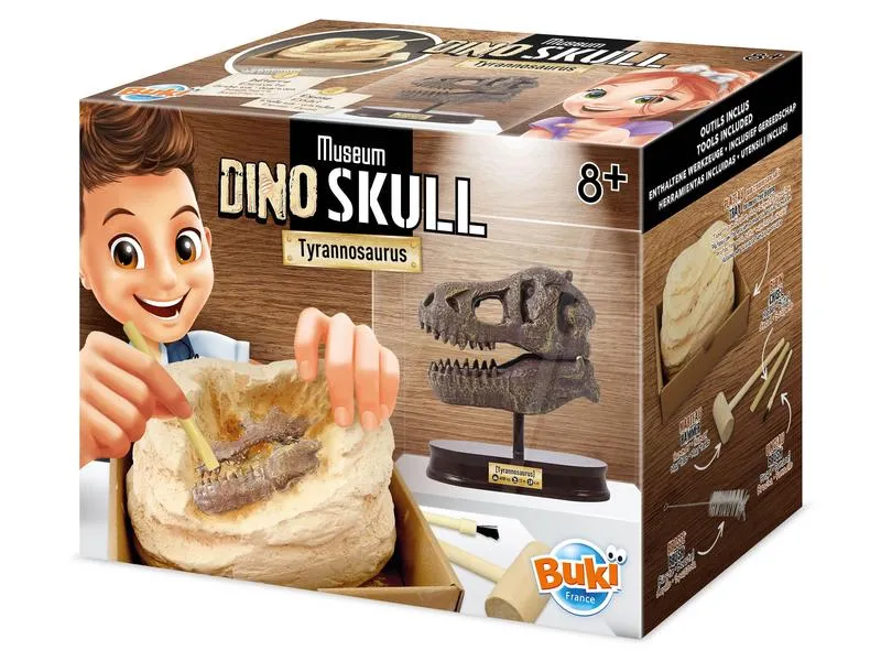 Buki Experimentierkasten Dinosaurierschädel – Tyrannosaurus