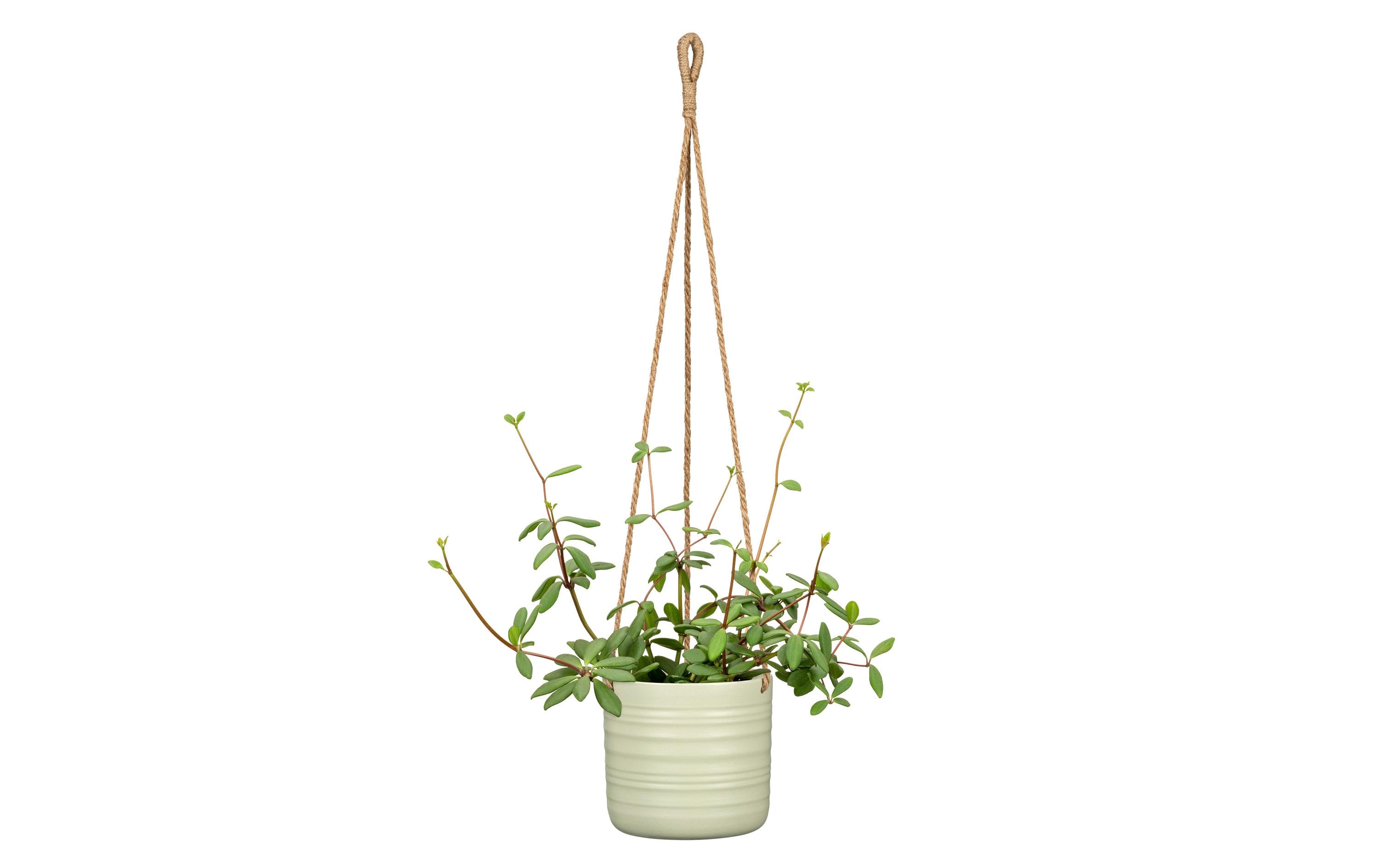 scheurich Blumenampel Cottage 14.2 cm, Pastellgrün