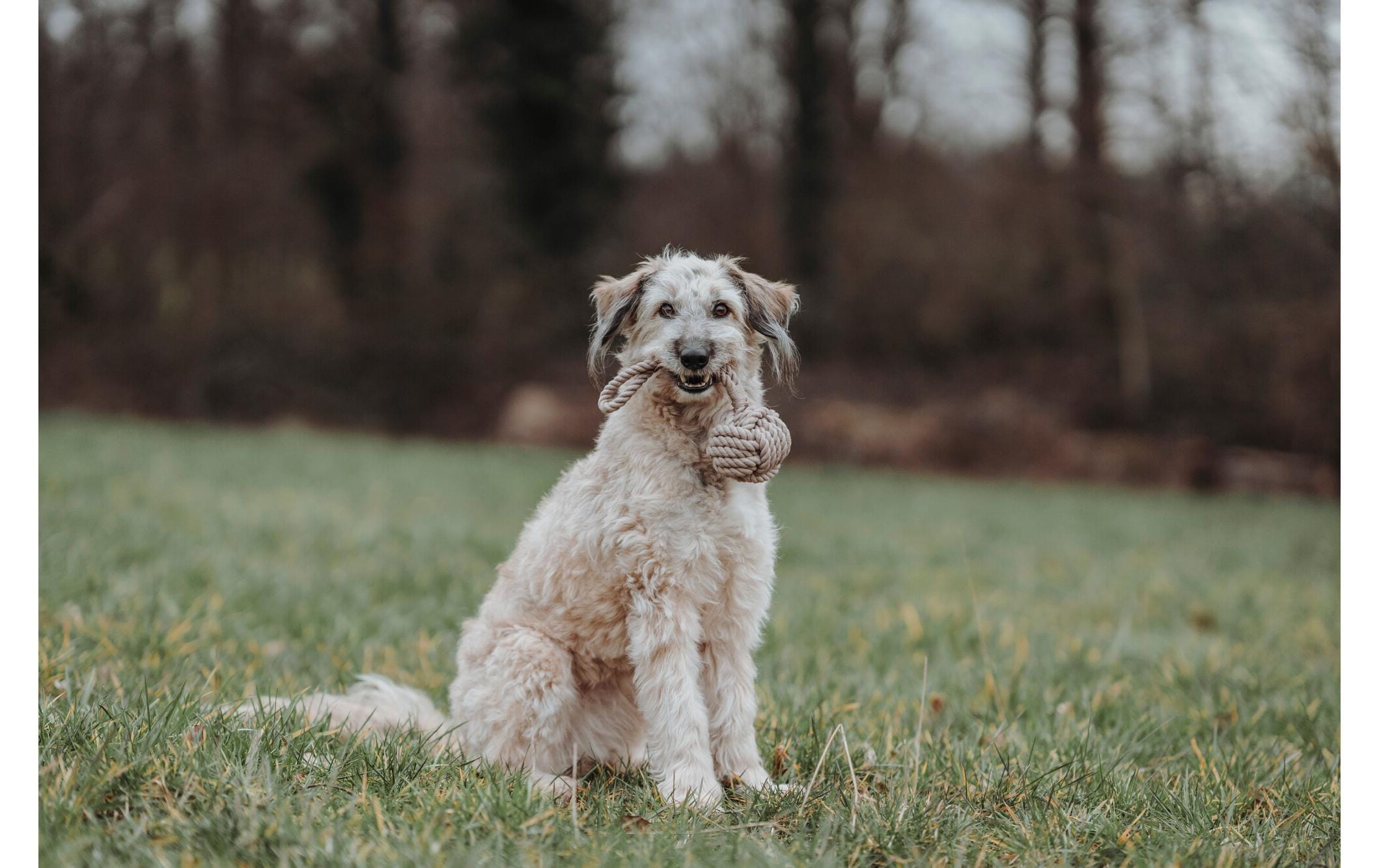 Hunter Hunde-Spielzeug Inari M, Ø 13 cm, Beige