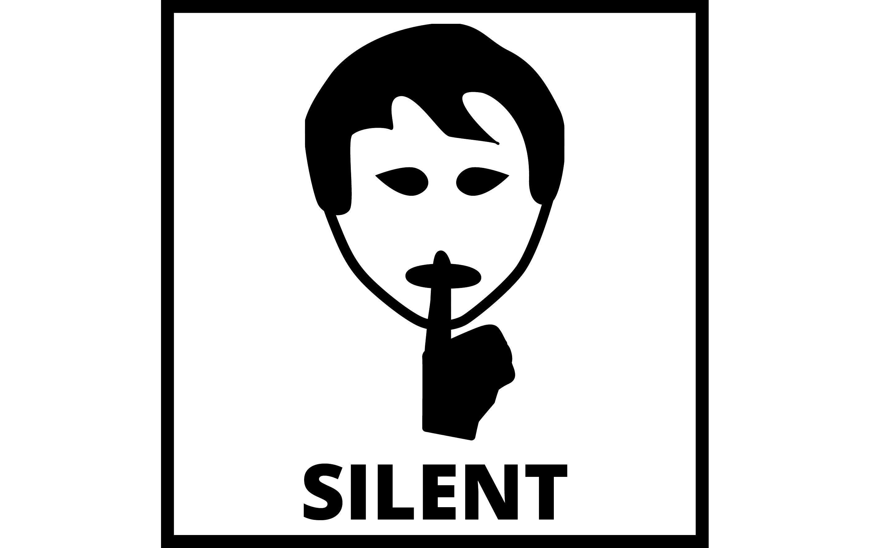 Einhell Leisehäcksler GC-RS 2360 CB