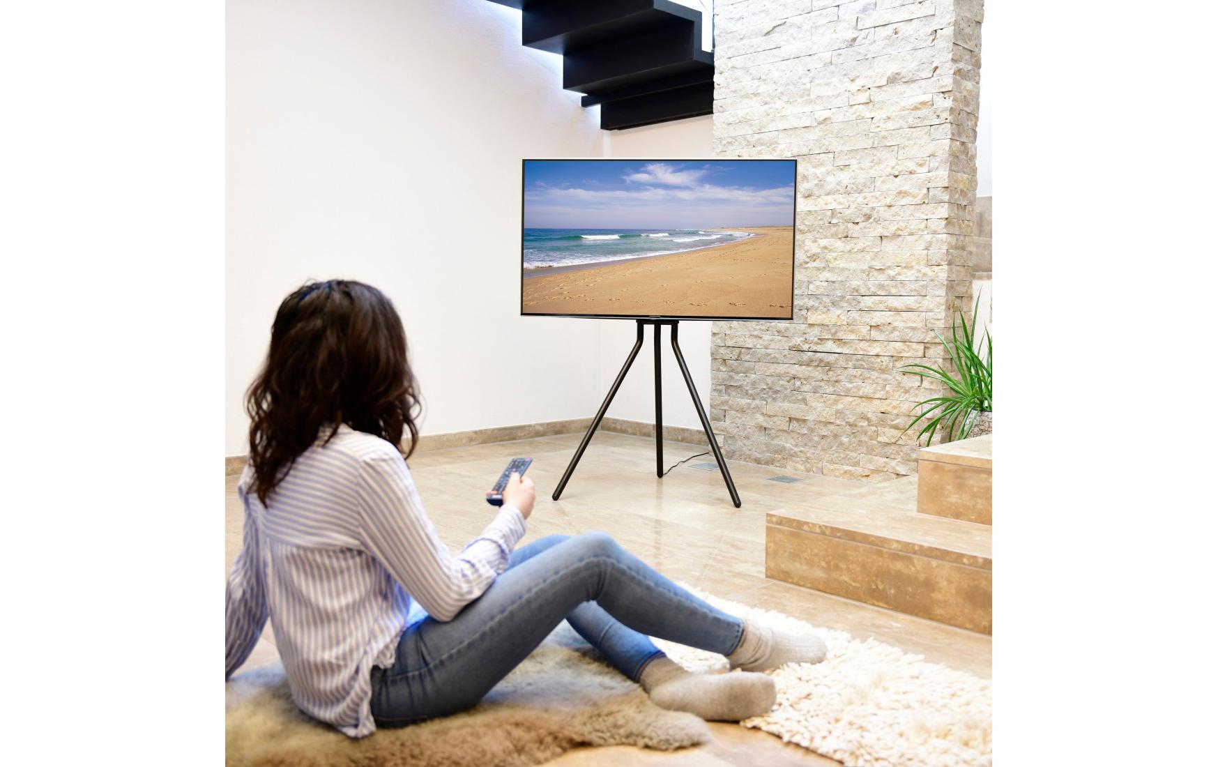 Hama Technics AG TV-Ständer (Staffelei) 75 Schwarz