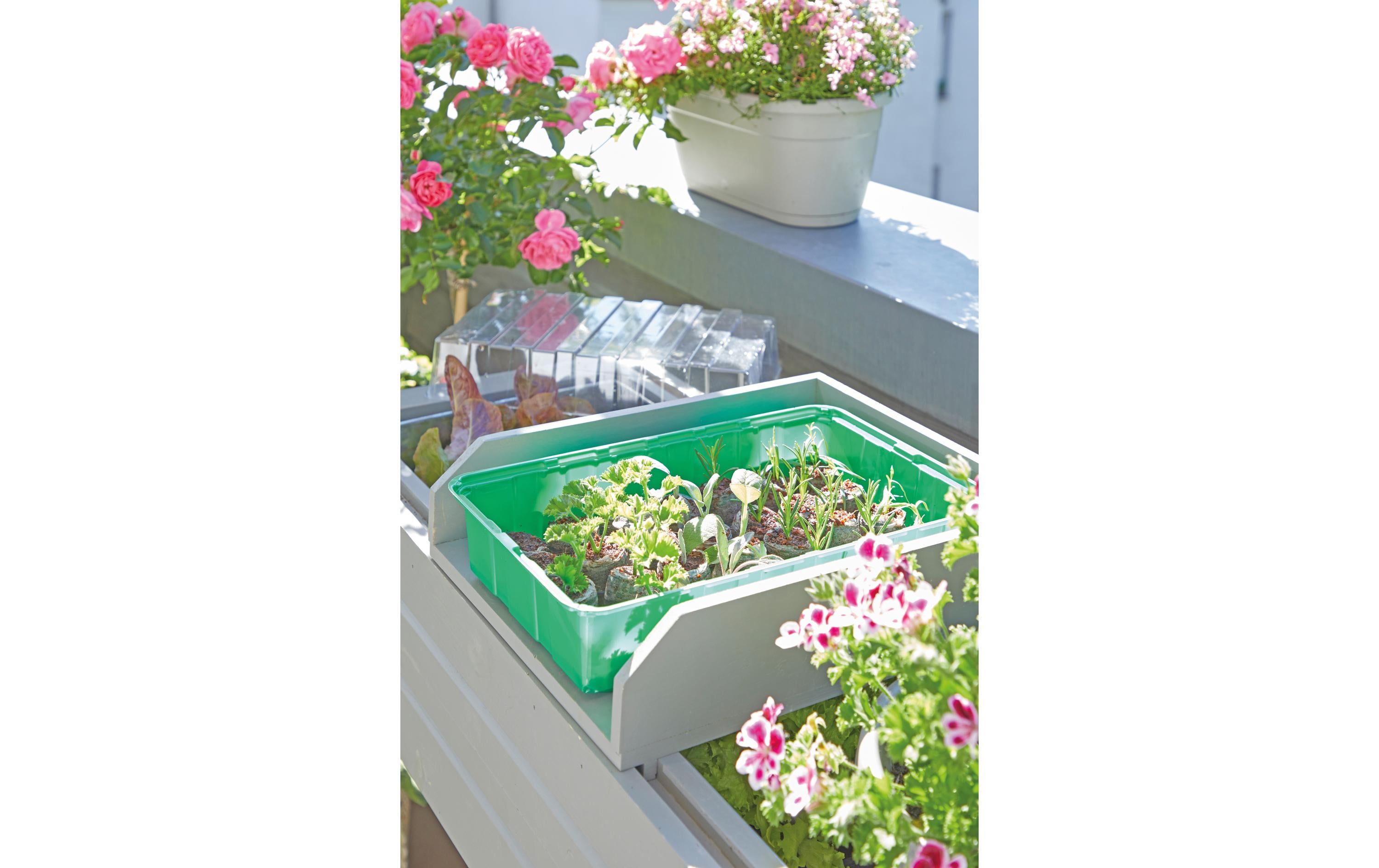 Romberg Anzuchthaus M PLUS COCO + 28 Kokos-Quelltabletten