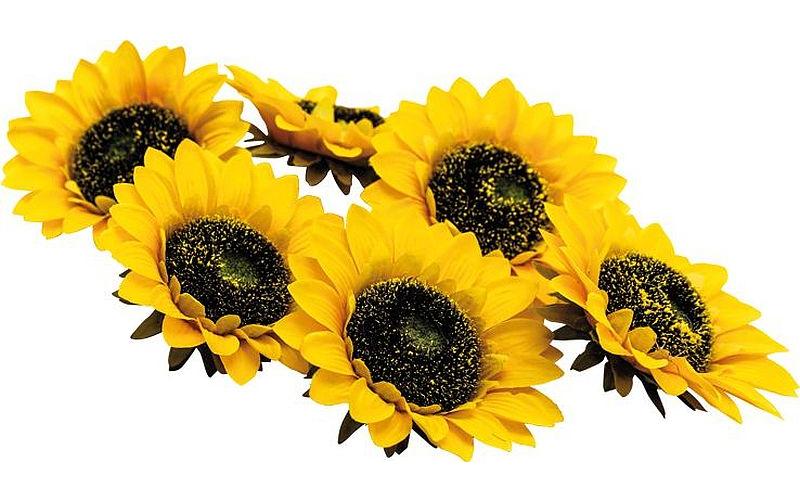 Dekomat AG Kunstblume Sommenblumenblüten 6 Stück