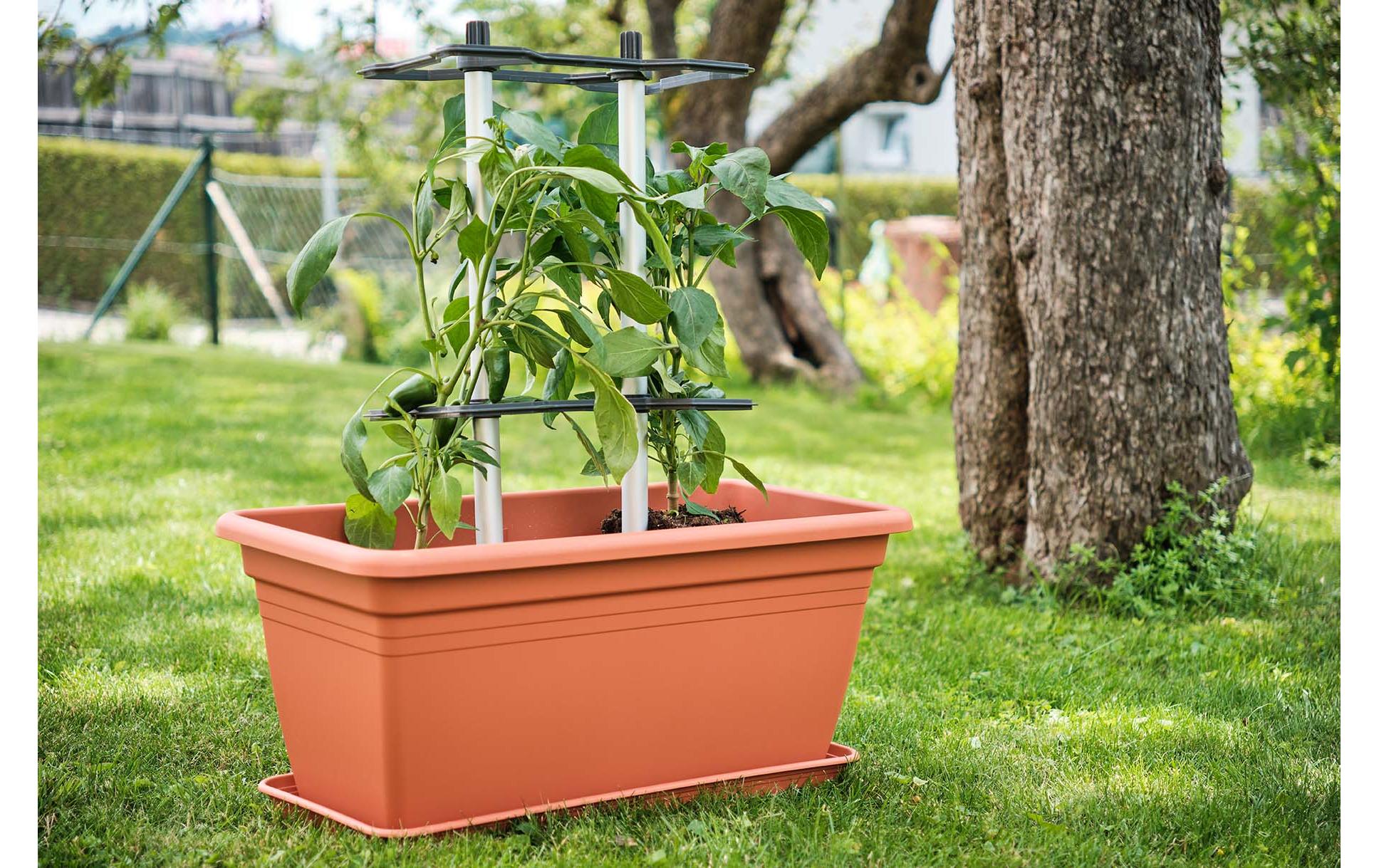 Gusta Garden CHILI BUDDY Rankhilfe für Chilis & Paprika im 3er Set Silber