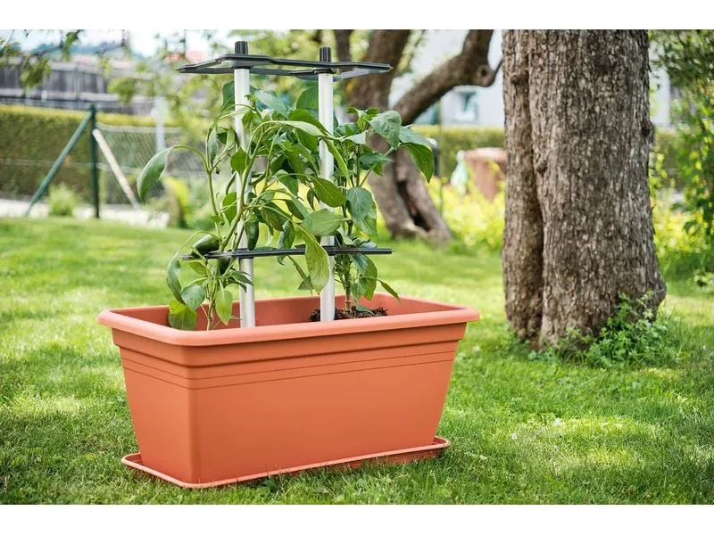 Gusta Garden CHILI BUDDY Rankhilfe für Chilis & Paprika im 3er Set Silber Gusta Garden CHILI BUDDY Rankhilfe für Chilis & Paprika im 3er Set Silber