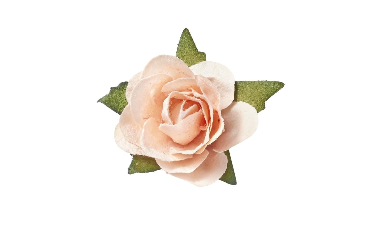 HobbyFun Streudeko Rosen 20 Stück, Aprikose