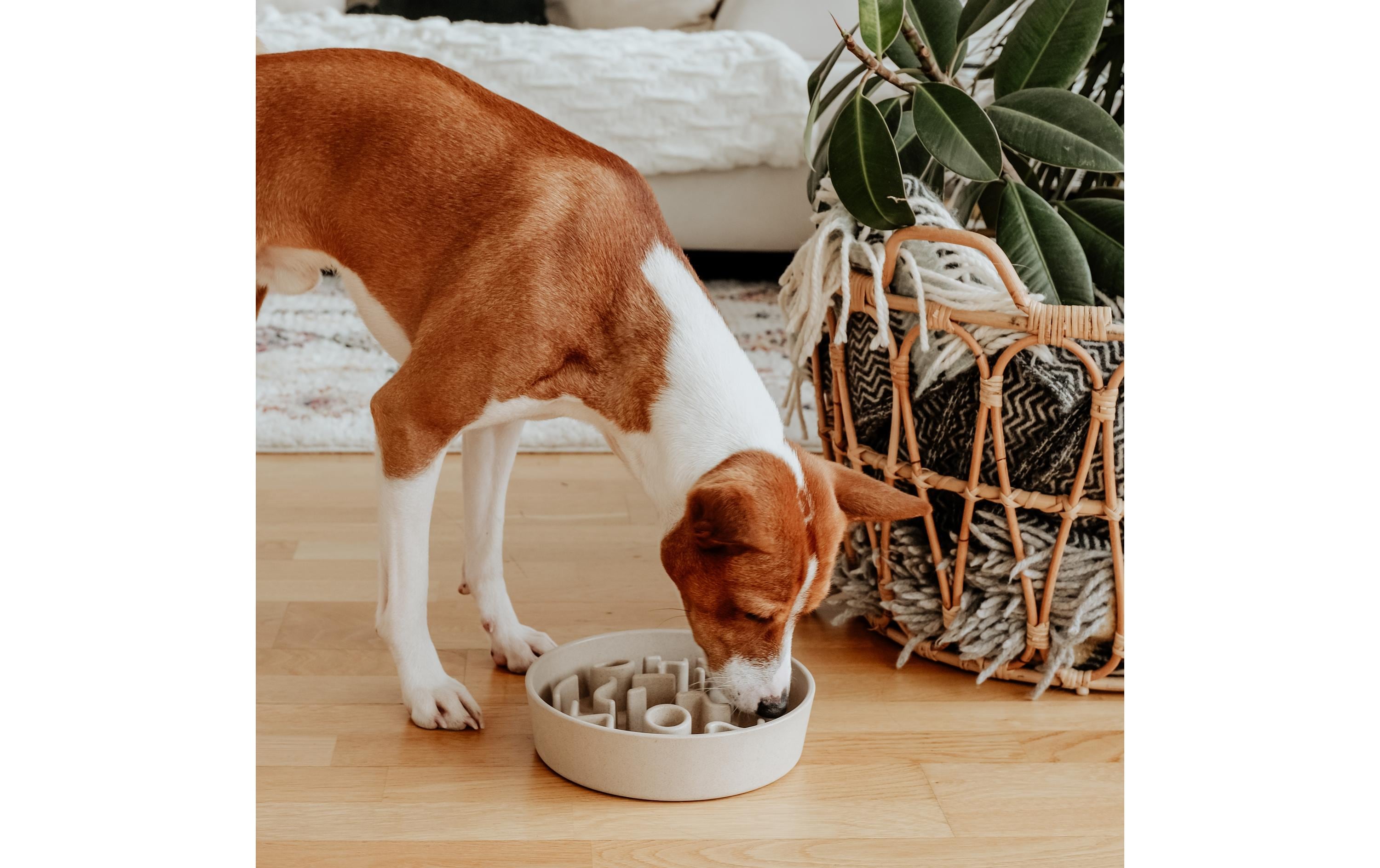 District 70 Bambusnapf Bamboo Dog Slow Feeder Ø 28 cm, Creme-Weiss
