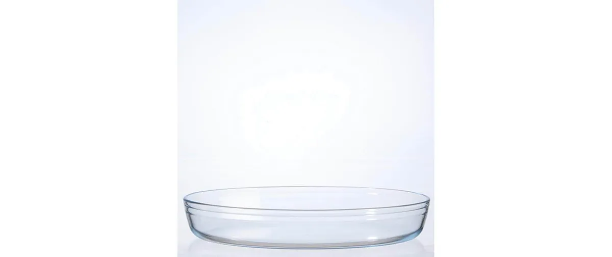 International Cookware Auflaufform 39 x 27 cm Oval, Transparent International Cookware Auflaufform 39 x 27 cm Oval, Transparent