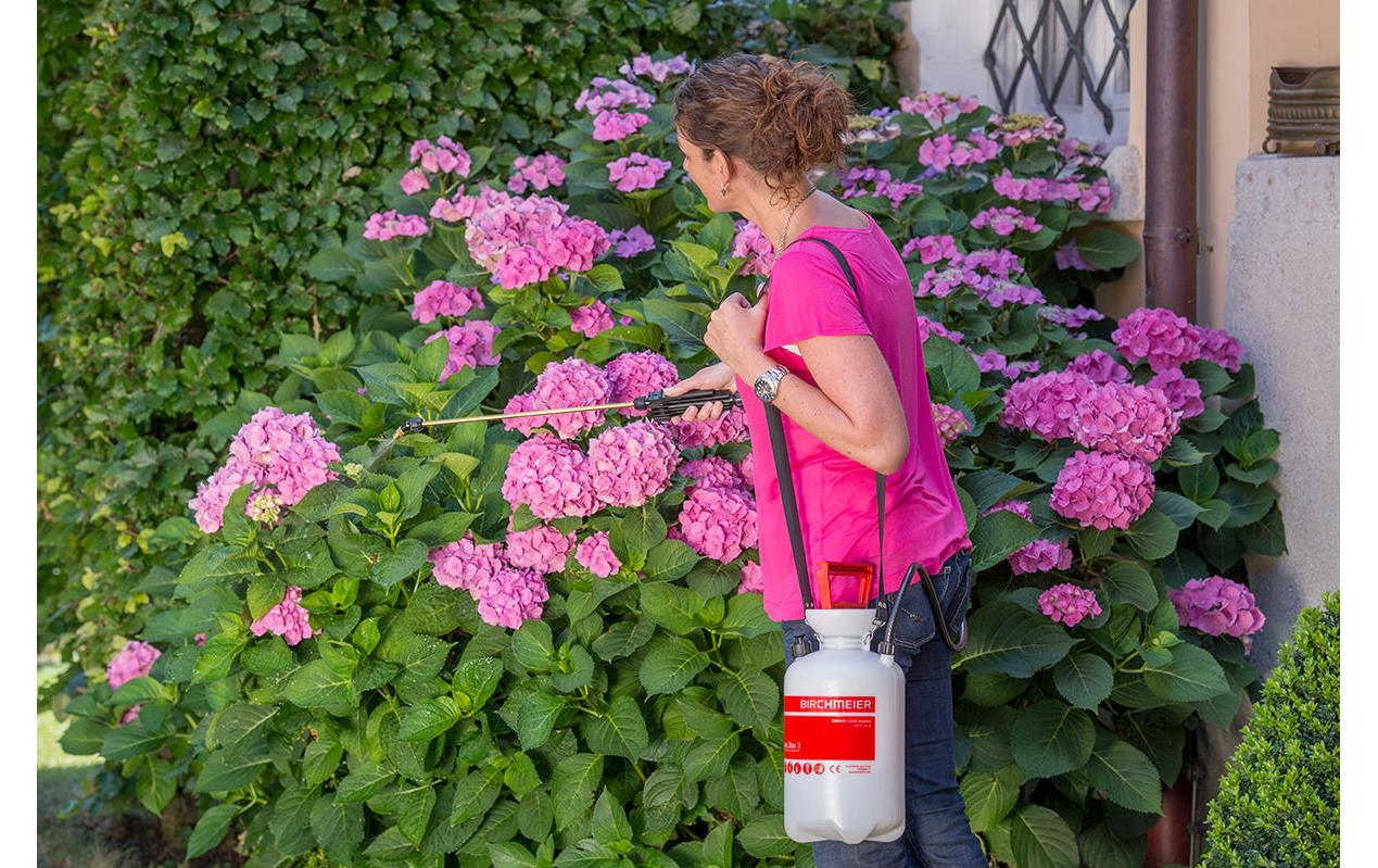 Birchmeier Drucksprüher Garden Star 3 Birchmeier Drucksprüher Garden Star 3