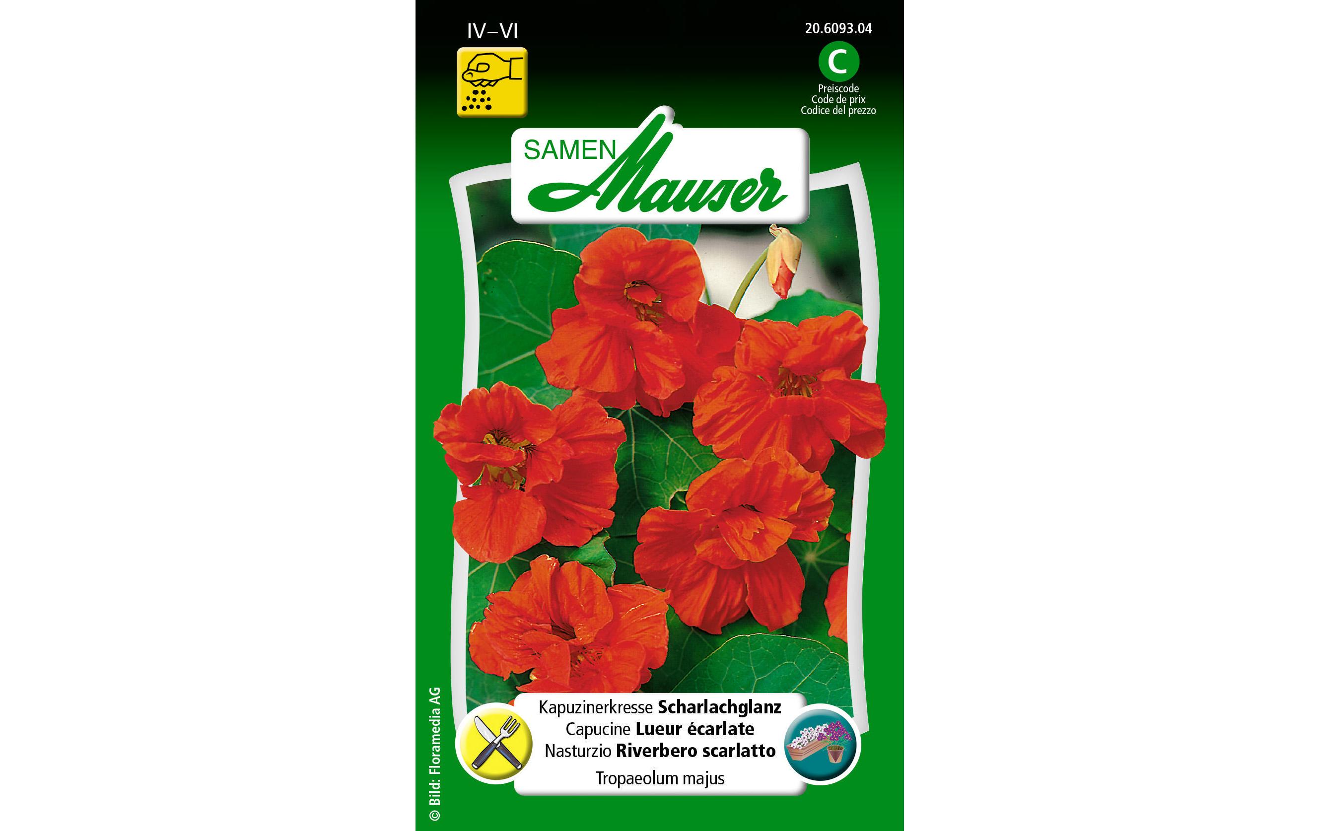 Samen Mauser Essbare Blüten Kapuzinerkresse Scharlachglanz