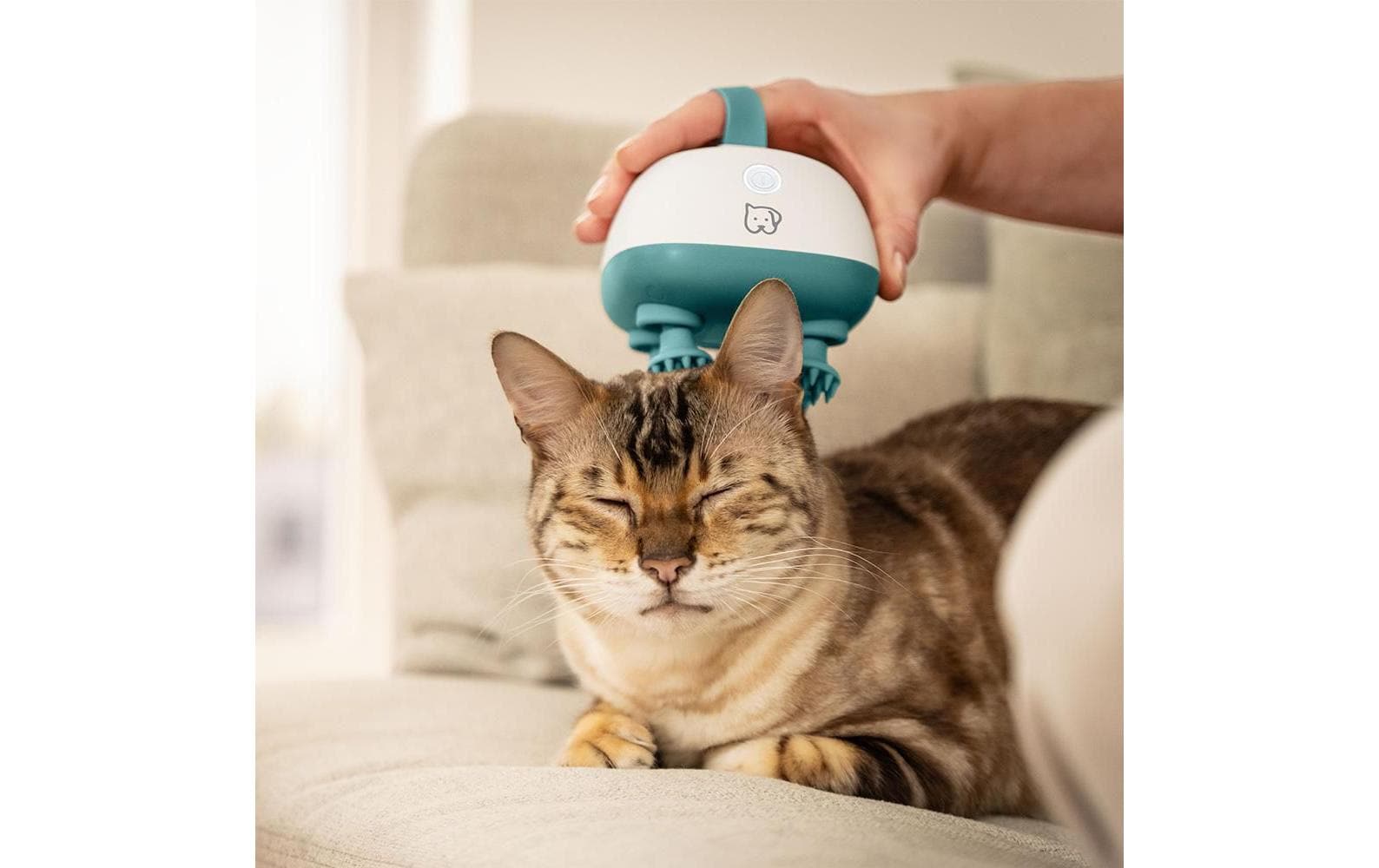 Love Your Pet by Beurer Massagegerät Buddy