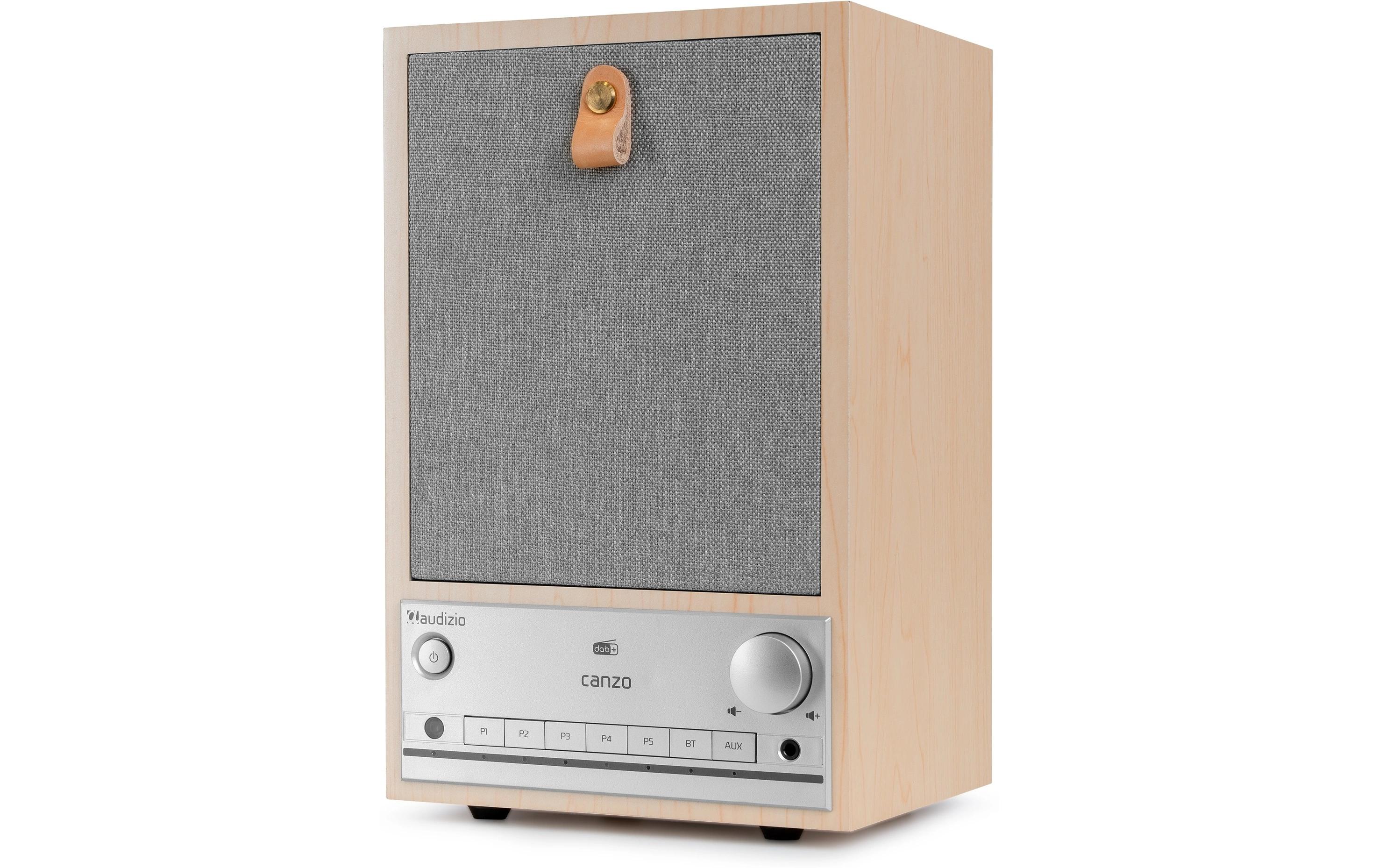 Audizio Internet Radio Canzo Braun