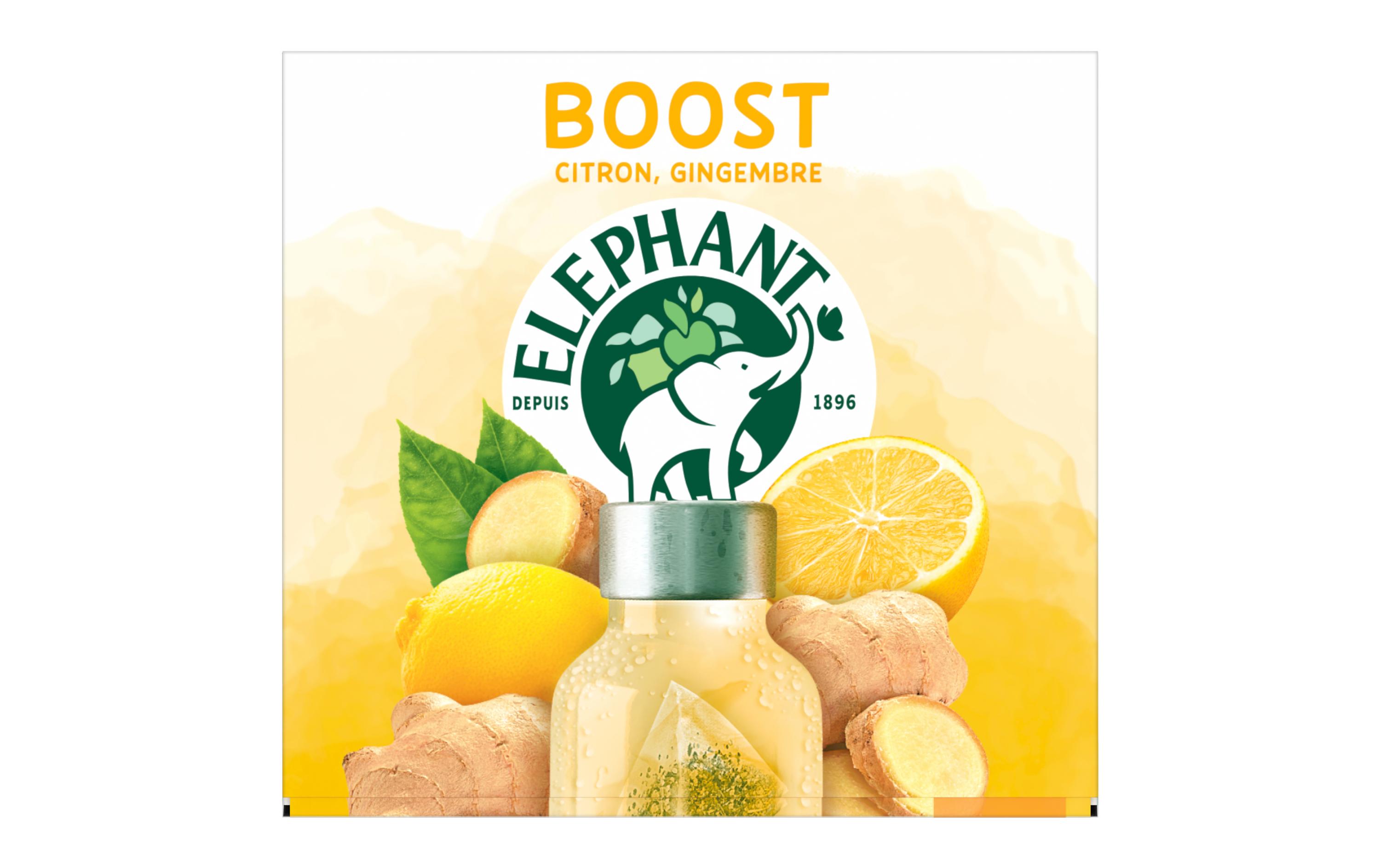 Eléphant Teebeutel Cold Infusion a Froid Boost 20 Stück