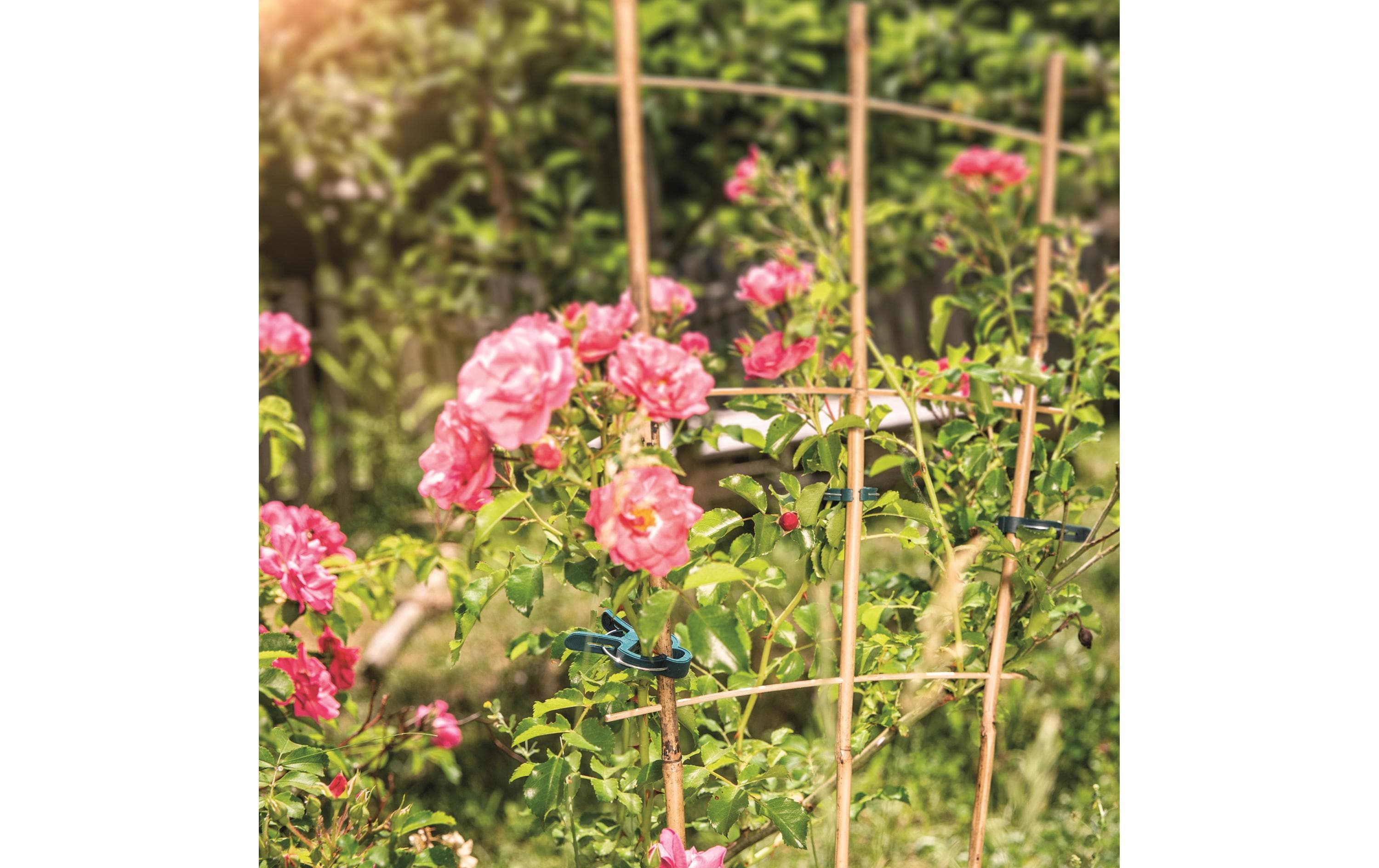 Windhager Pflanzenhalter Set 50-teilig Windhager Pflanzenhalter Set 50-teilig