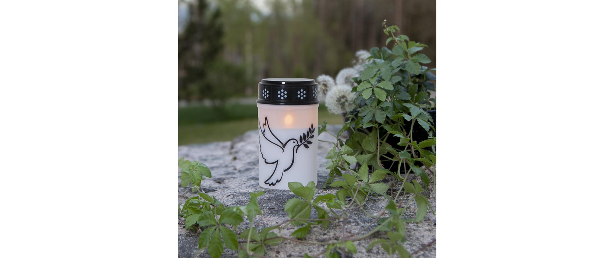 Star Trading LED Grabkerze Taube, Ø 7.5 x 12.5 cm, Weiss Star Trading LED Grabkerze Taube, Ø 7.5 x 12.5 cm, Weiss