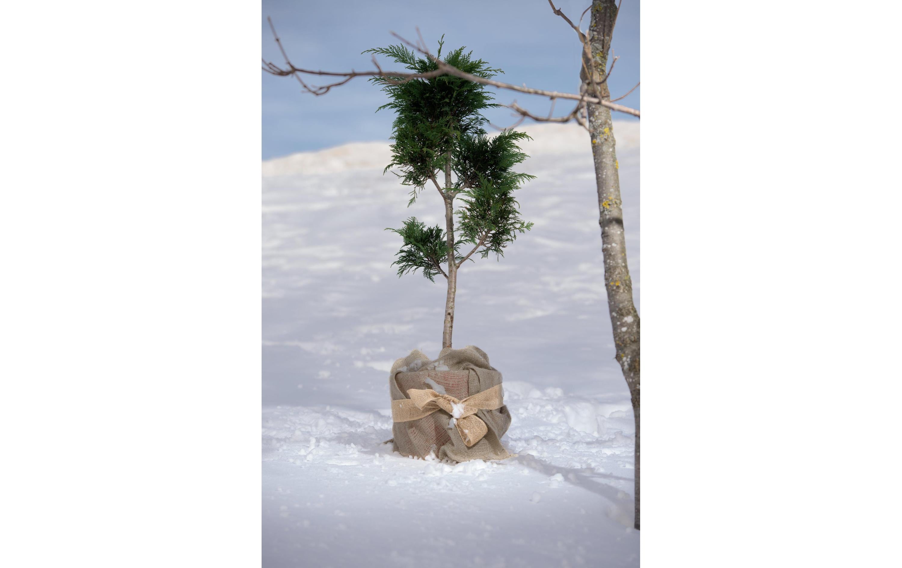 Windhager Jute-Dekoband, nature