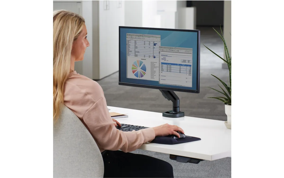 Fellowes Eppa Schwarz Fellowes Eppa Schwarz