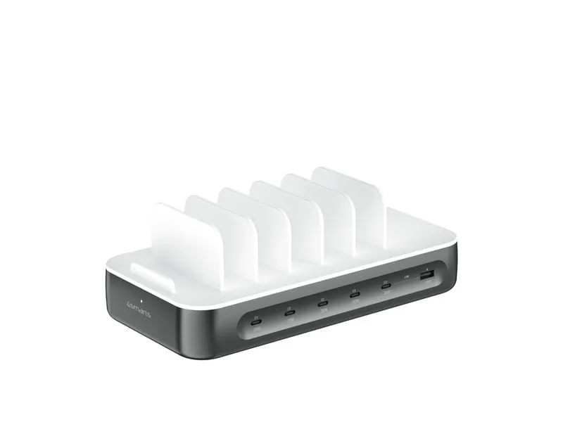 4smarts Ladestation Team 100 W