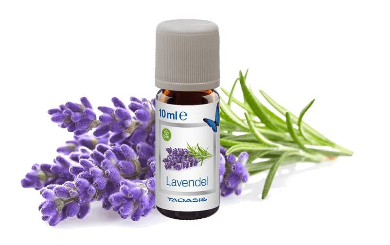 Venta Luftwäscher Duftöl Lavendel, 3 x 10 ml