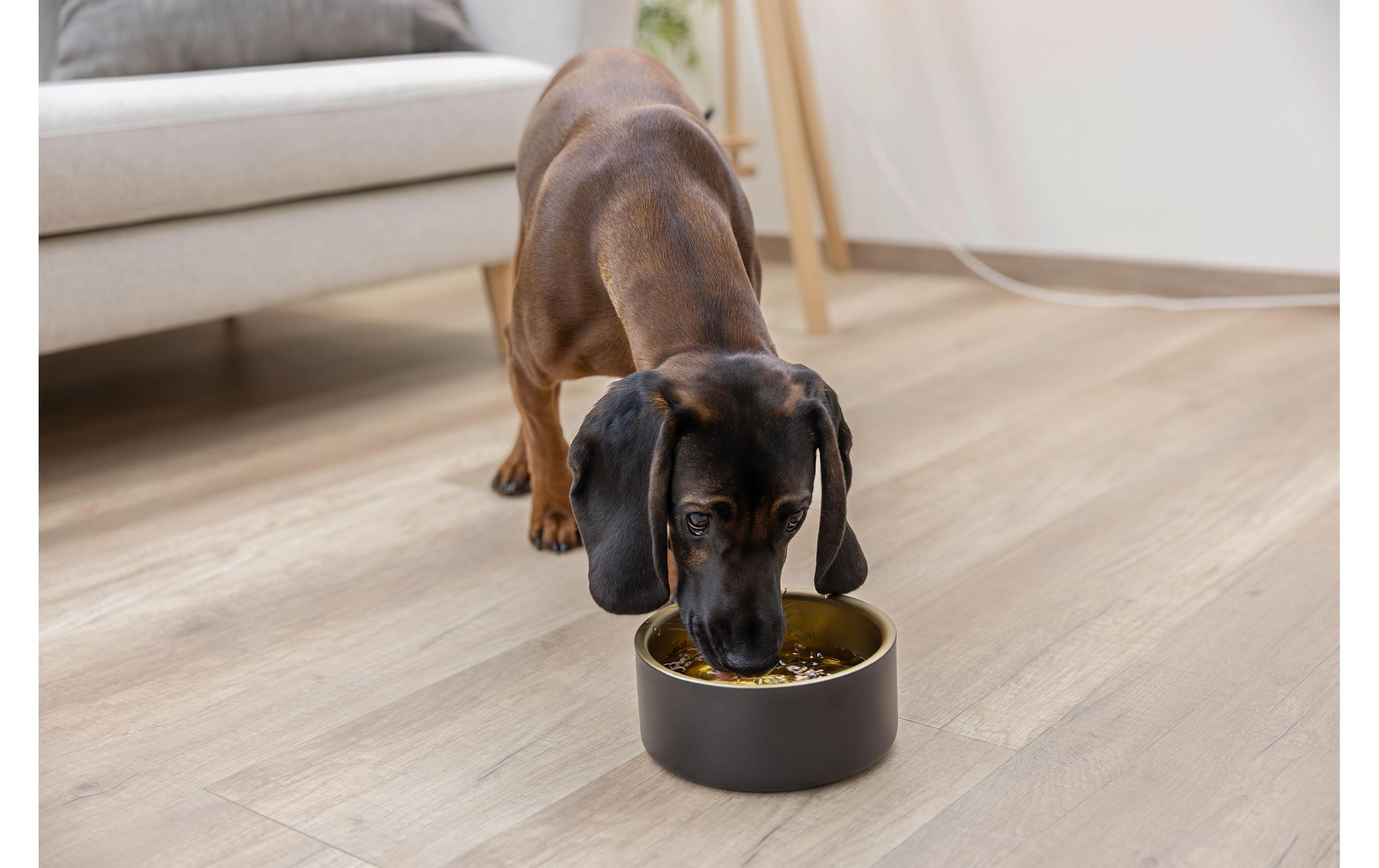 Kerbl Edelstahlnapf Golden 450 ml