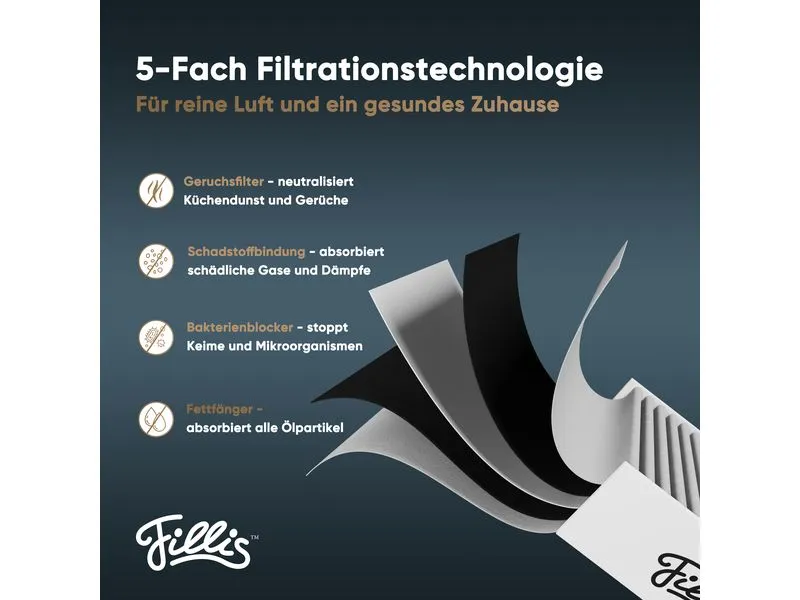 Pillis Aktivkohlefilter für Bora Pure Puru & X Pure Puxu, 2 Stück