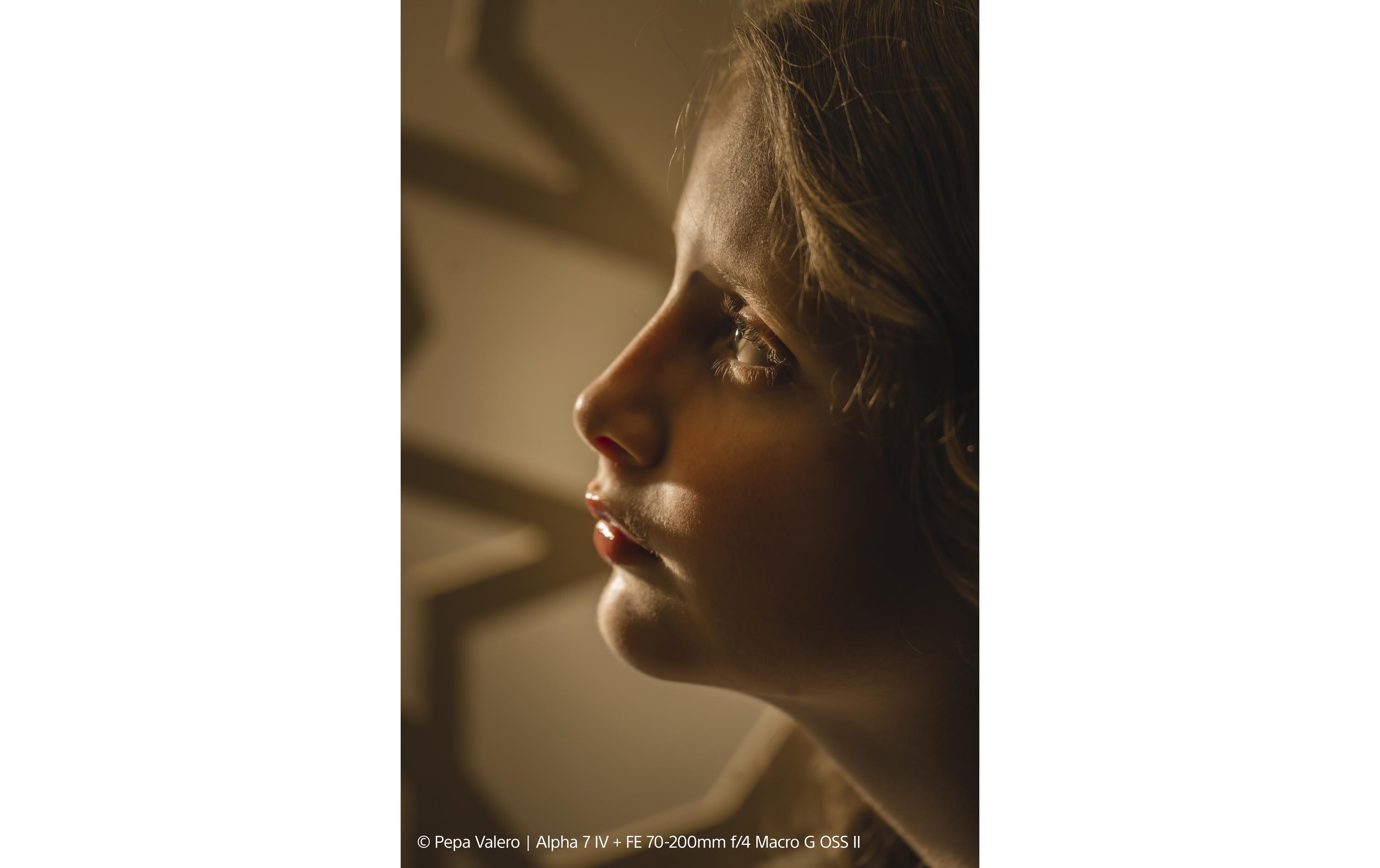 Sony Zoomobjektiv FE 70–200 mm F/4 Makro G OSS Ⅱ Sony E-Mount