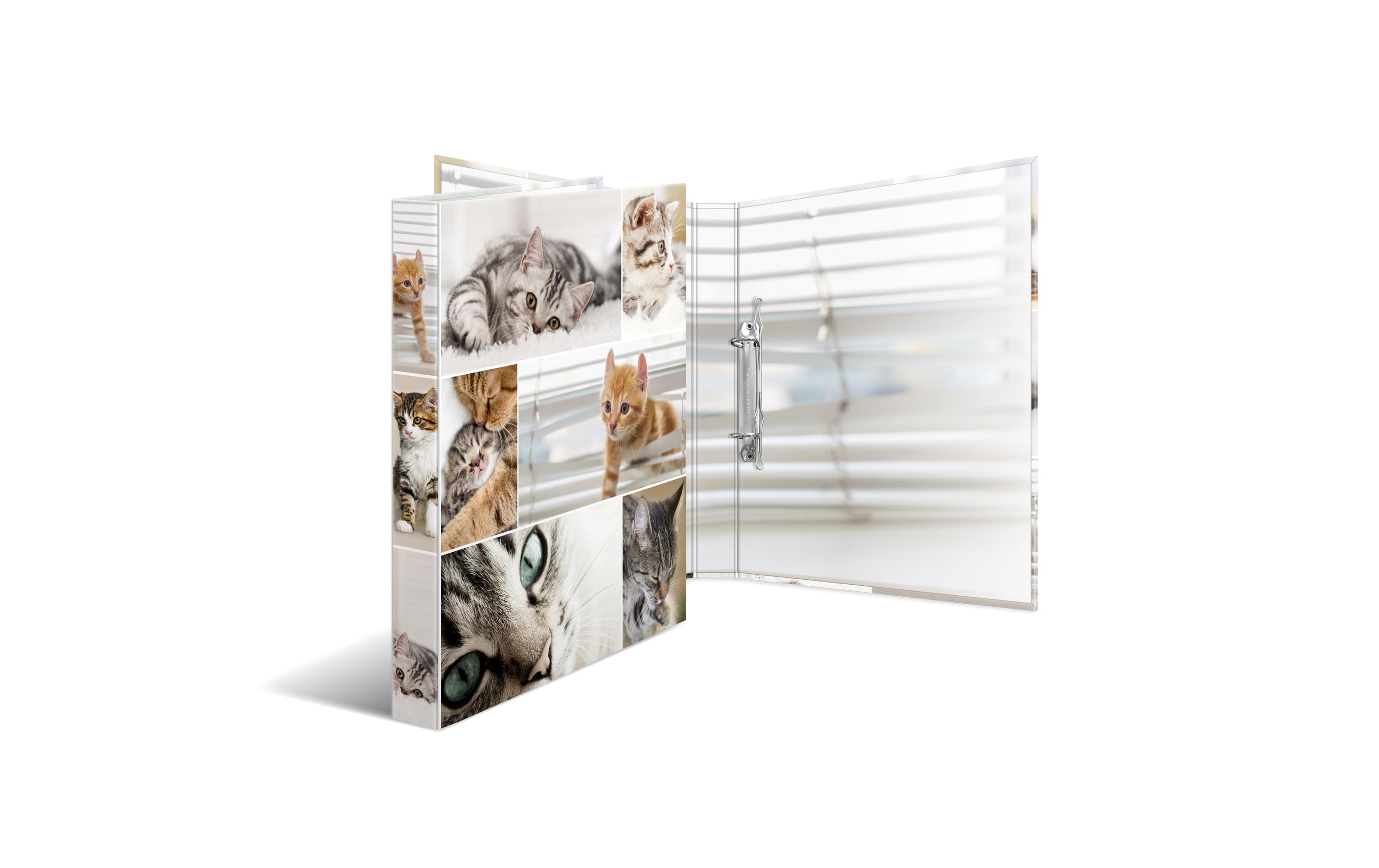 HERMA Ringbuch Katzen 2-Ring 3.5 cm, Mehrfarbig