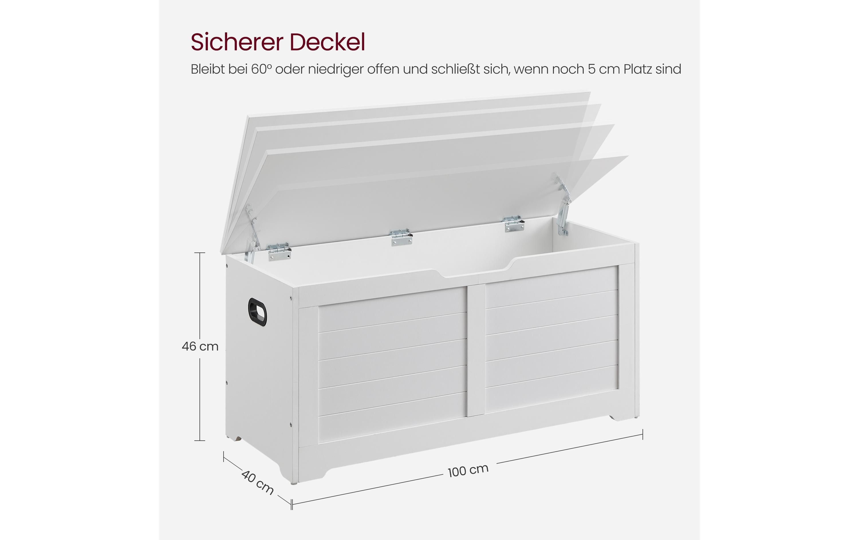 VASAGLE Sitztruhe im Landhausstil 100 x 40 x 46 cm, Weiss matt