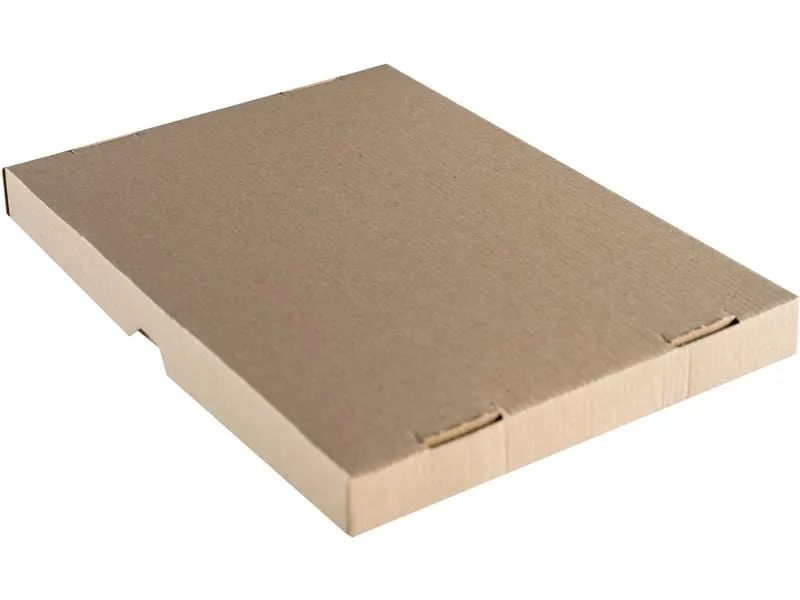 Brieger Versandkarton 214 x 151 x 25 mm, 1 Stück