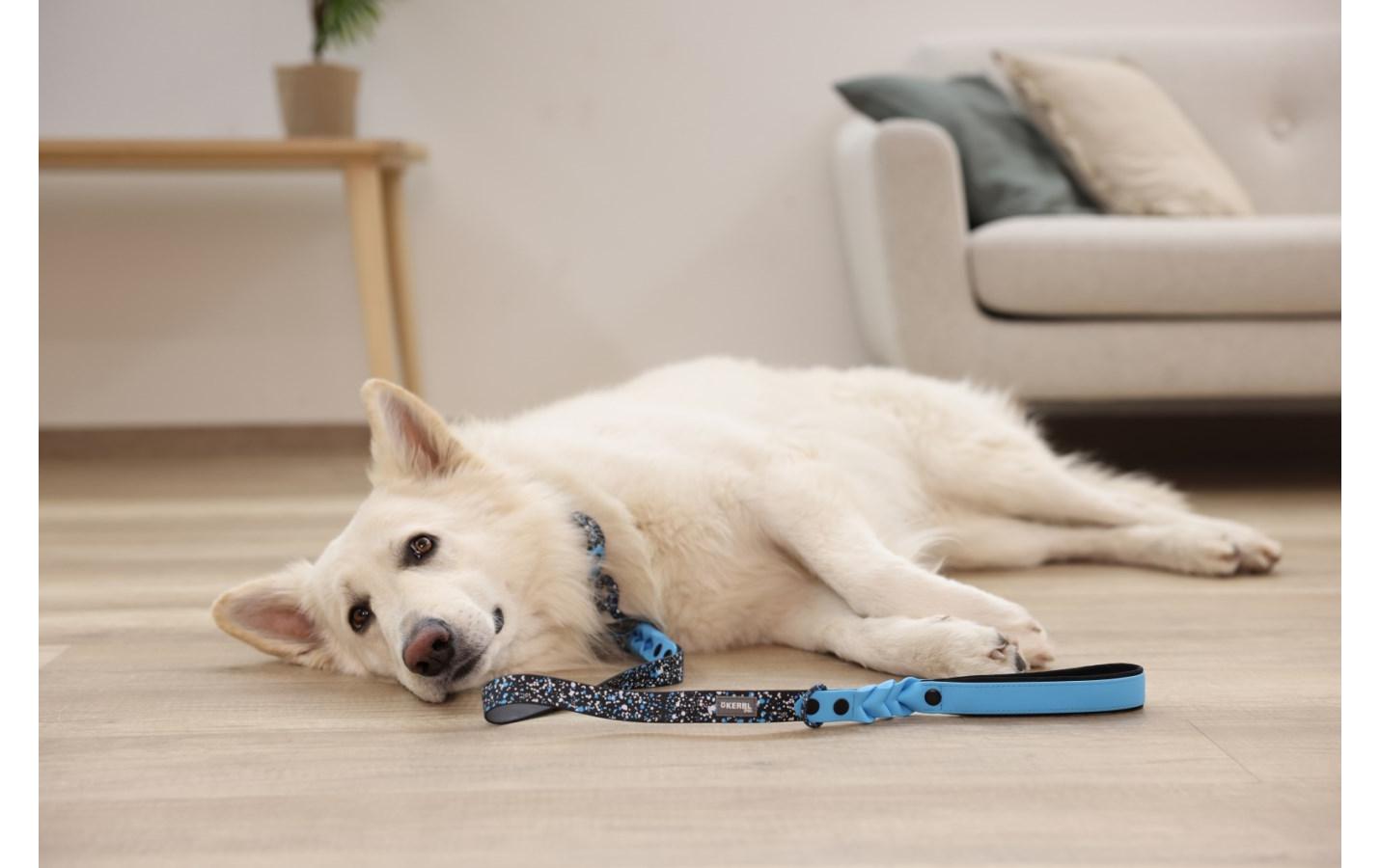 Kerbl Hundeleine Lima 25 mm x 100 cm