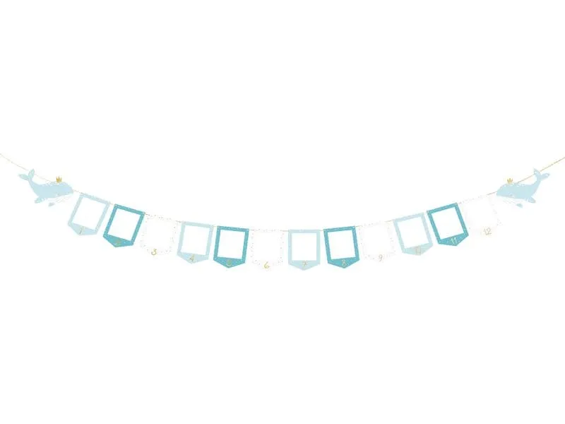 Partydeco Girlande Wal 15 m, Blau Partydeco Girlande Wal 15 m, Blau