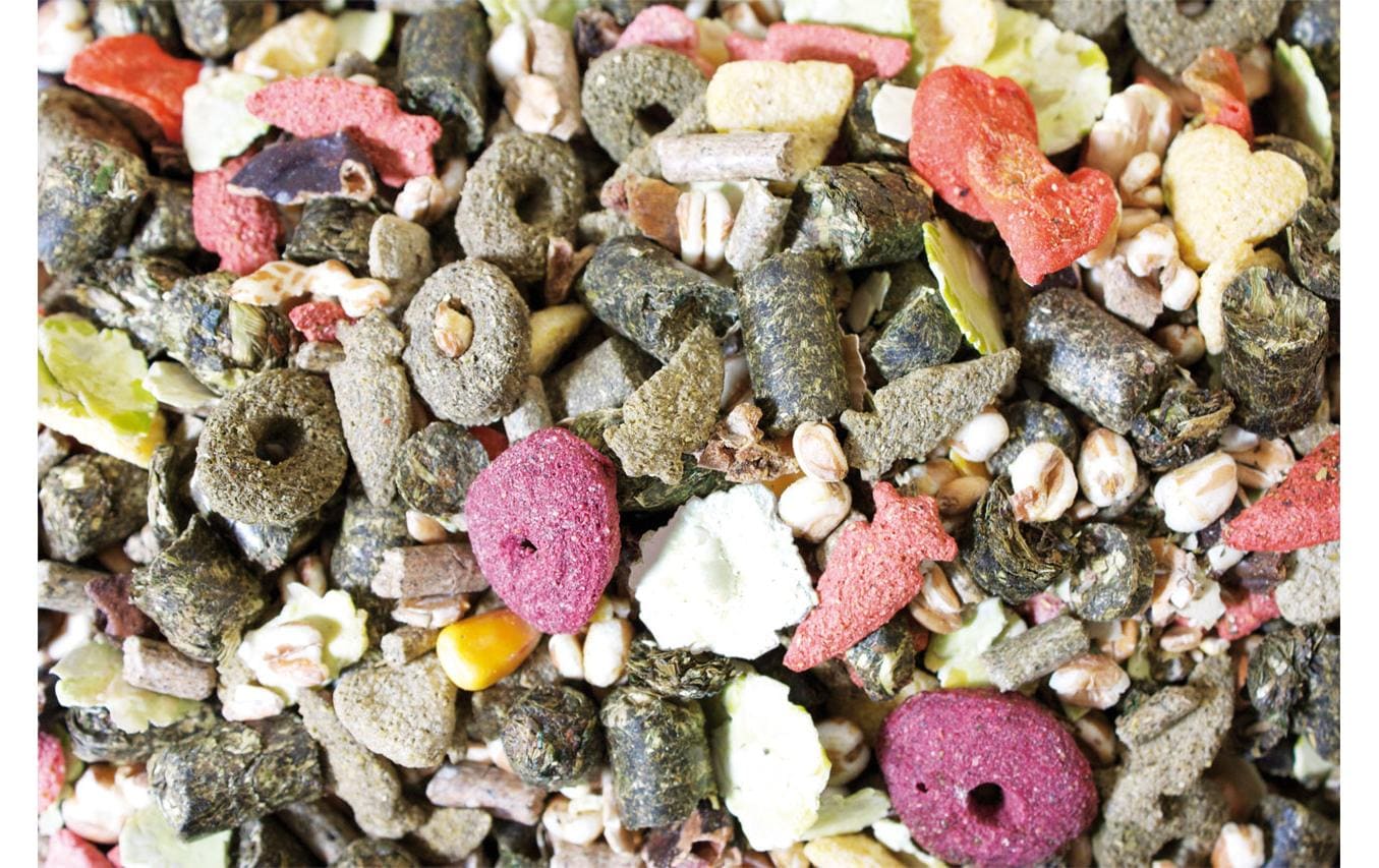 JR Farm Hauptfutter Basic Zwergkaninchen-Schmaus, 2.5 kg JR Farm Hauptfutter Basic Zwergkaninchen-Schmaus, 2.5 kg