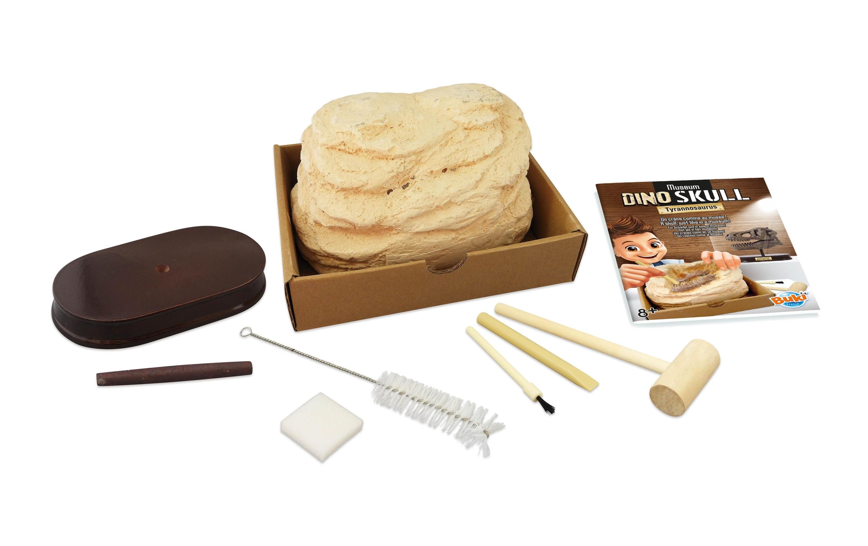 Buki Experimentierkasten Dinosaurierschädel – Tyrannosaurus Buki Experimentierkasten Dinosaurierschädel – Tyrannosaurus
