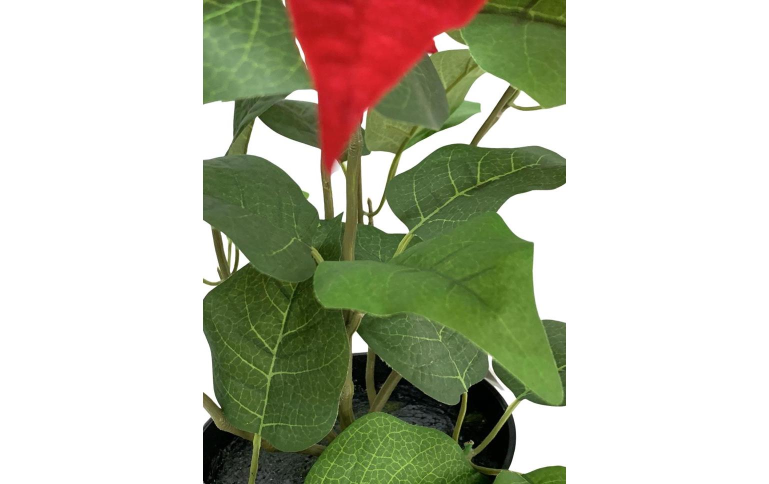 Botanic-Haus Kunstblume Weihnachtsstern Rot