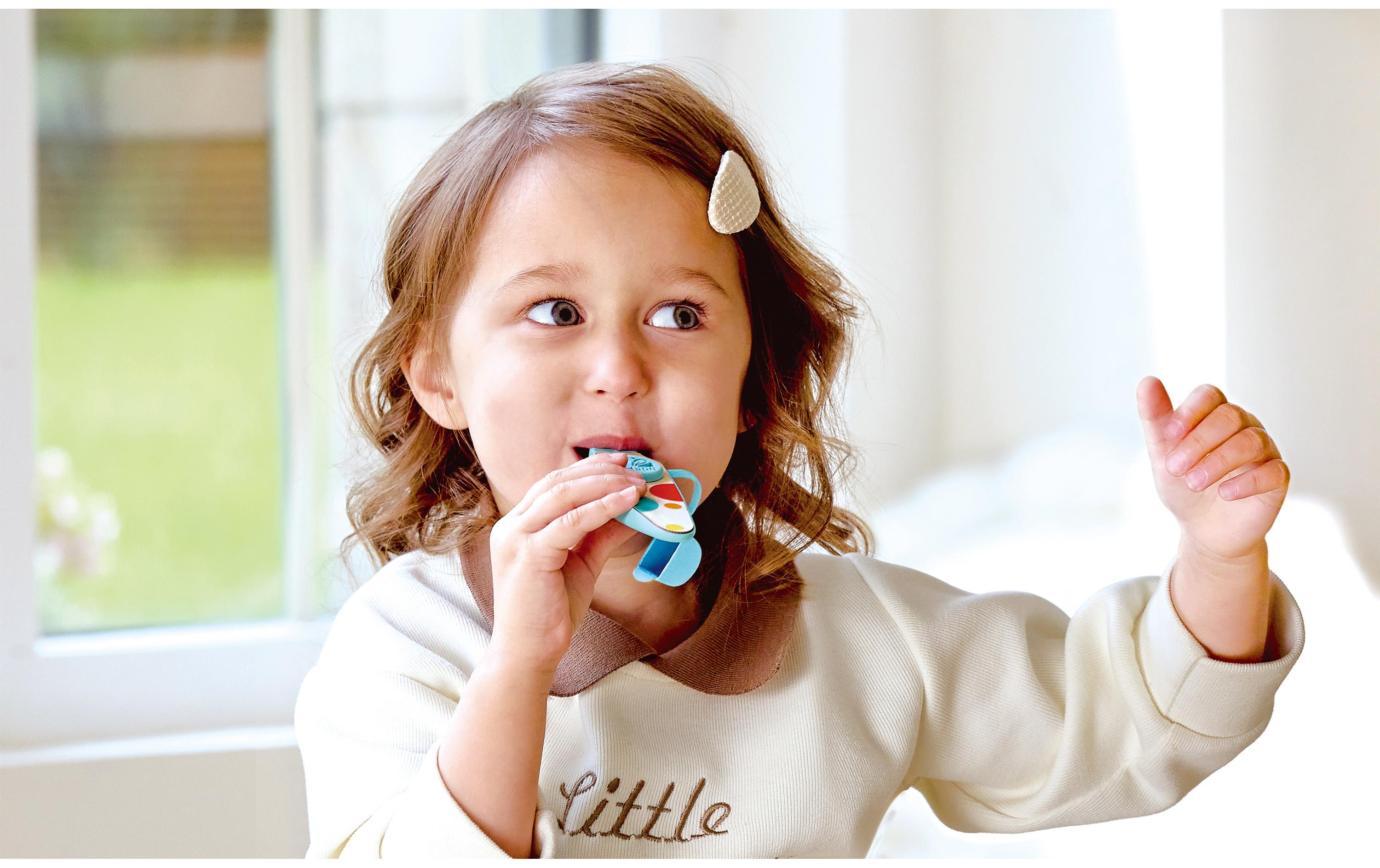 Hape Musikspielzeug Kinder-Kazoo