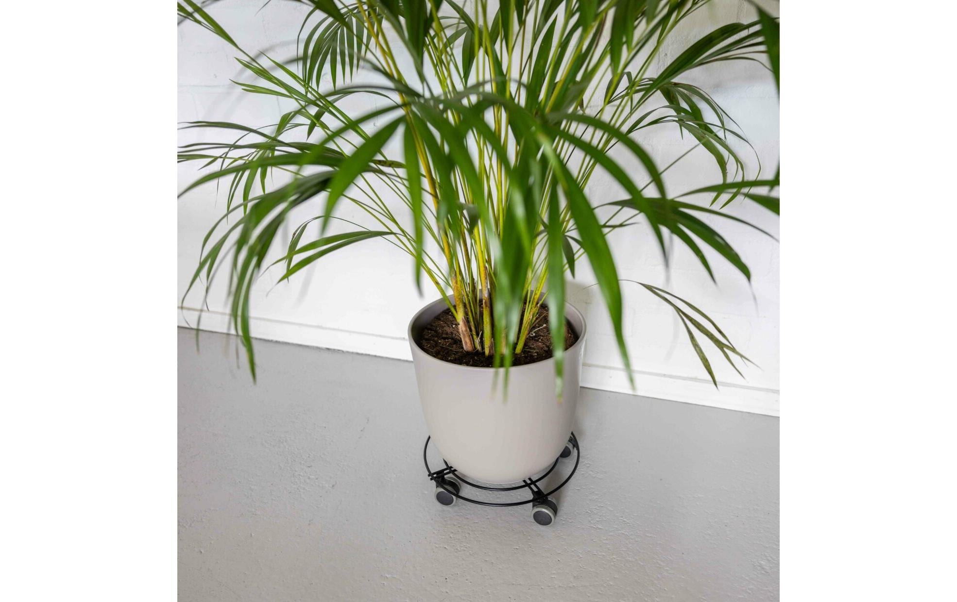 Esschert Design Pflanzentrolley S Schwarz Esschert Design Pflanzentrolley S Schwarz