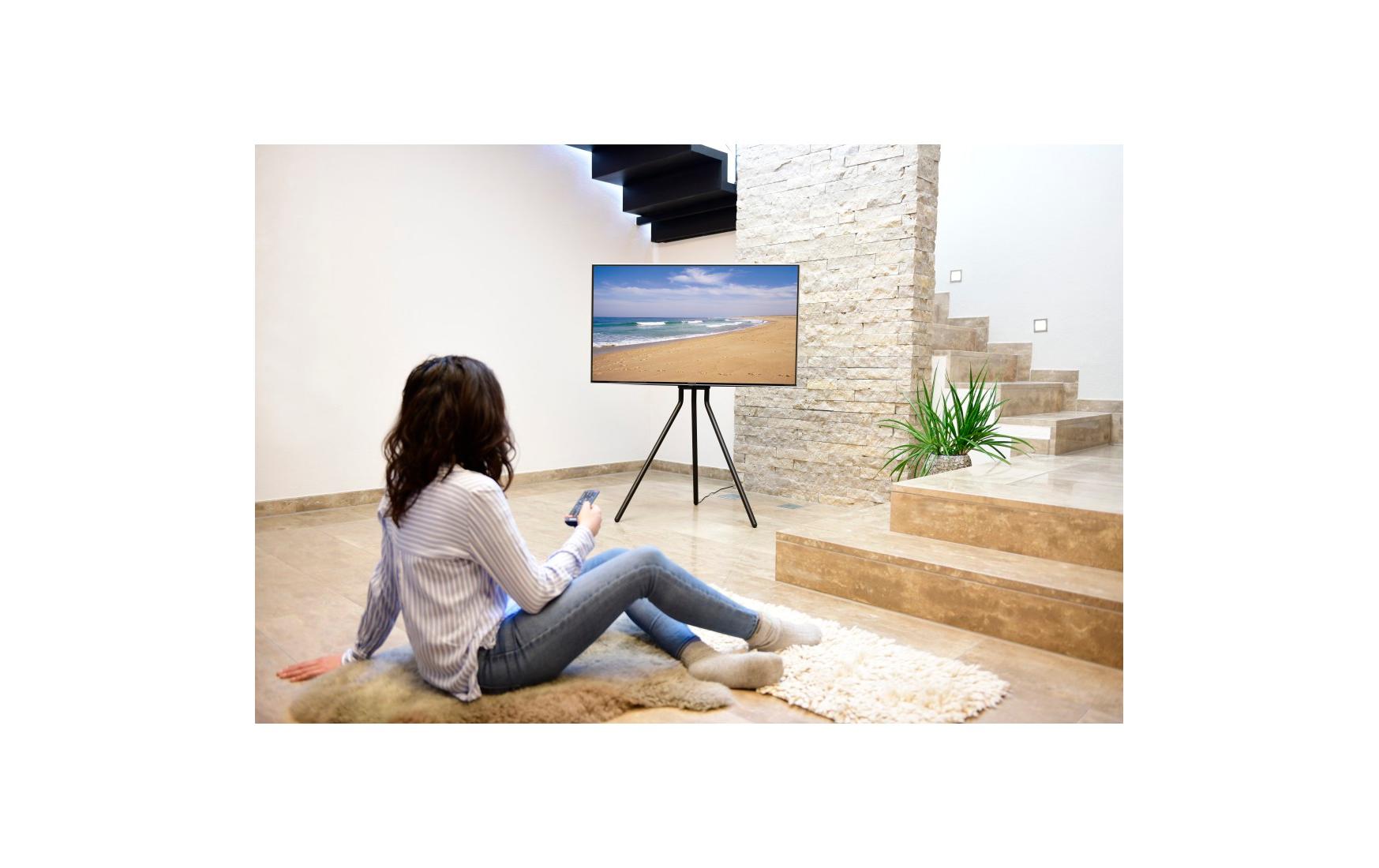 Hama Technics AG TV-Ständer (Staffelei) 75 Schwarz