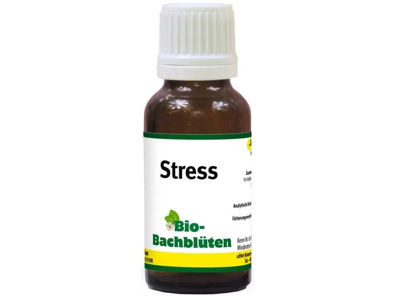 cdVet Hunde-Nahrungsergänzung Bio-Bachblüten, Stress, 20 ml cdVet Hunde-Nahrungsergänzung Bio-Bachblüten, Stress, 20 ml