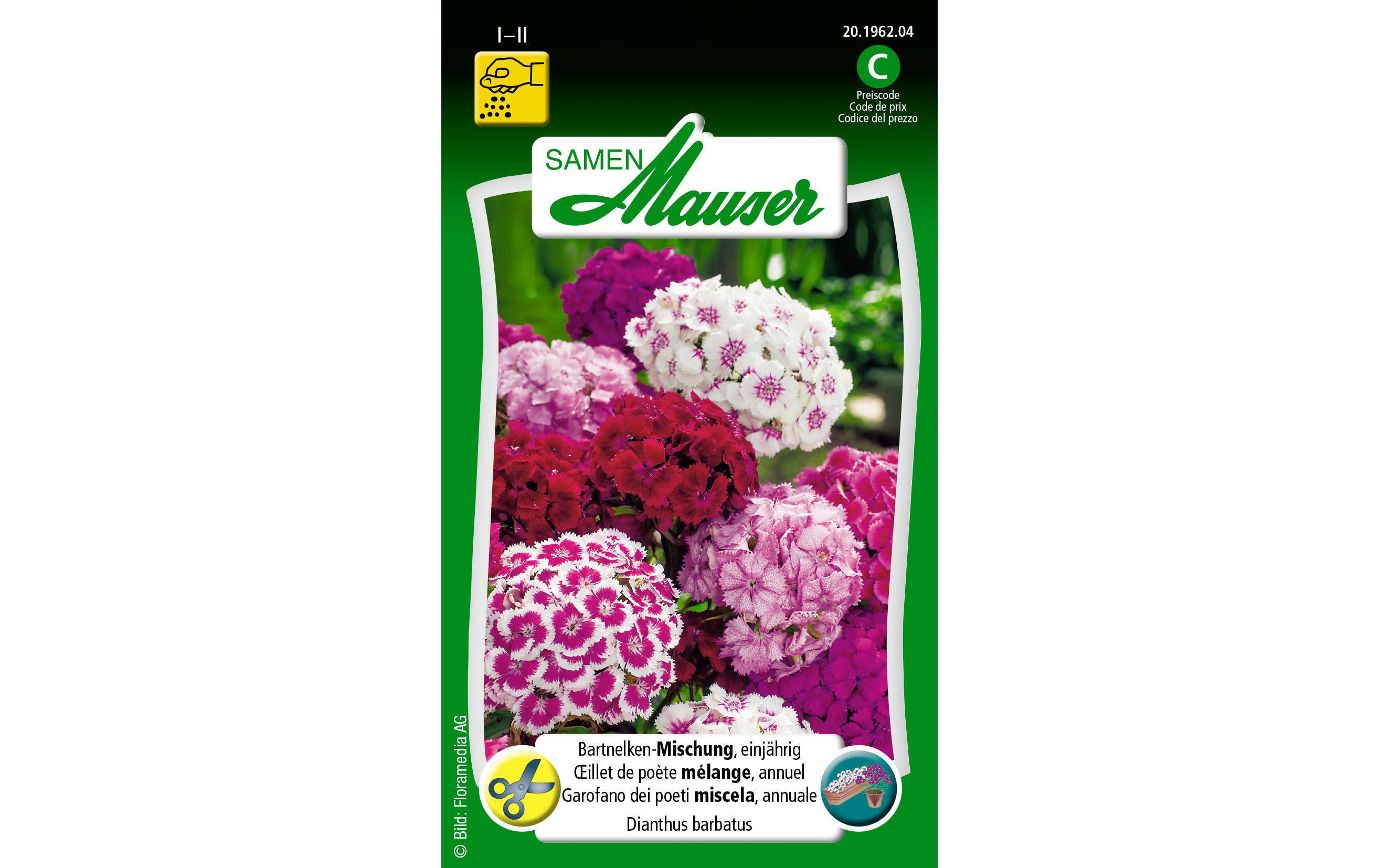 Samen Mauser Saatgut Bartnelke einjährige Mischung Samen Mauser Saatgut Bartnelke einjährige Mischung