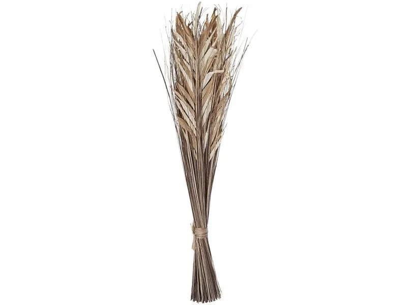 EGLO Trockenblume Braun 17 x 60 x 100 cm