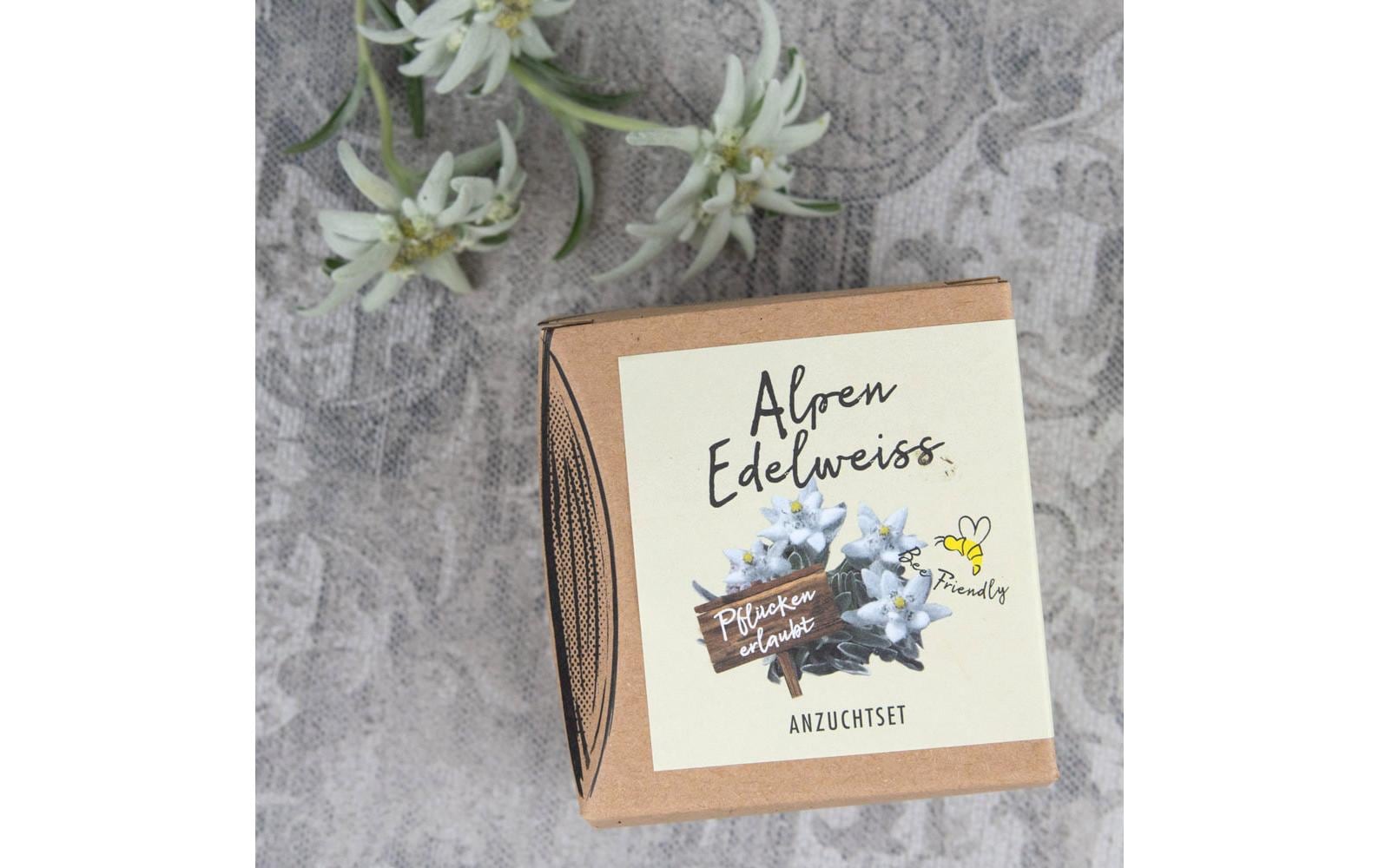Naturkraftwerk Anzuchtset Alpenedelweiss, mit Saatgut