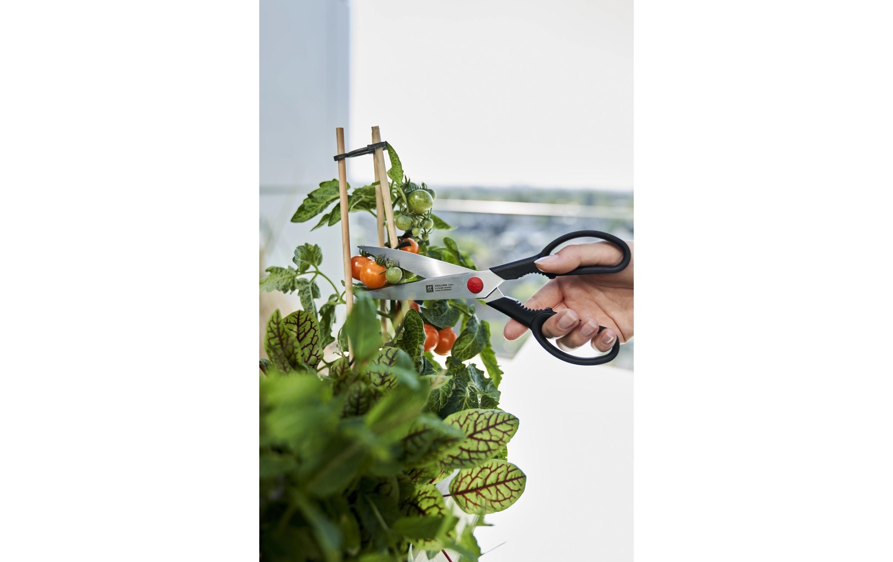 Zwilling Haushaltsschere Twin L 23 cm