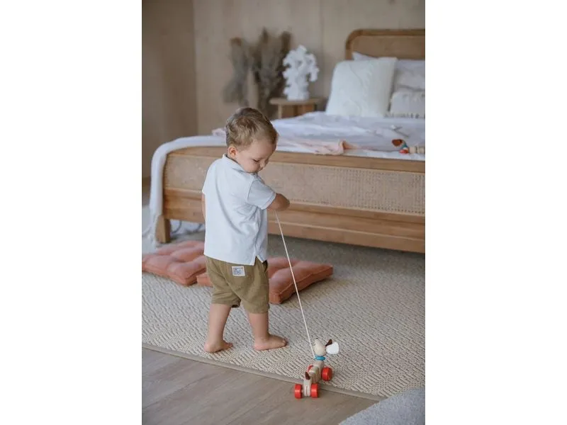 Plantoys Nachzieh-Hündchen aus Kautschukholz