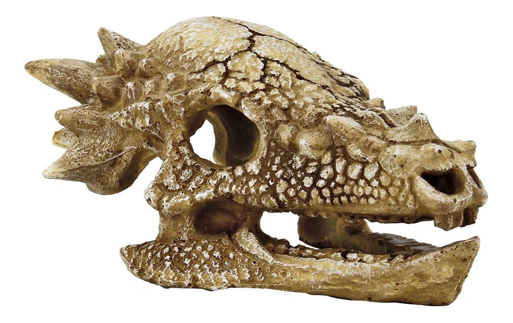 SuperFish Dekoration Schädel T-Rex M