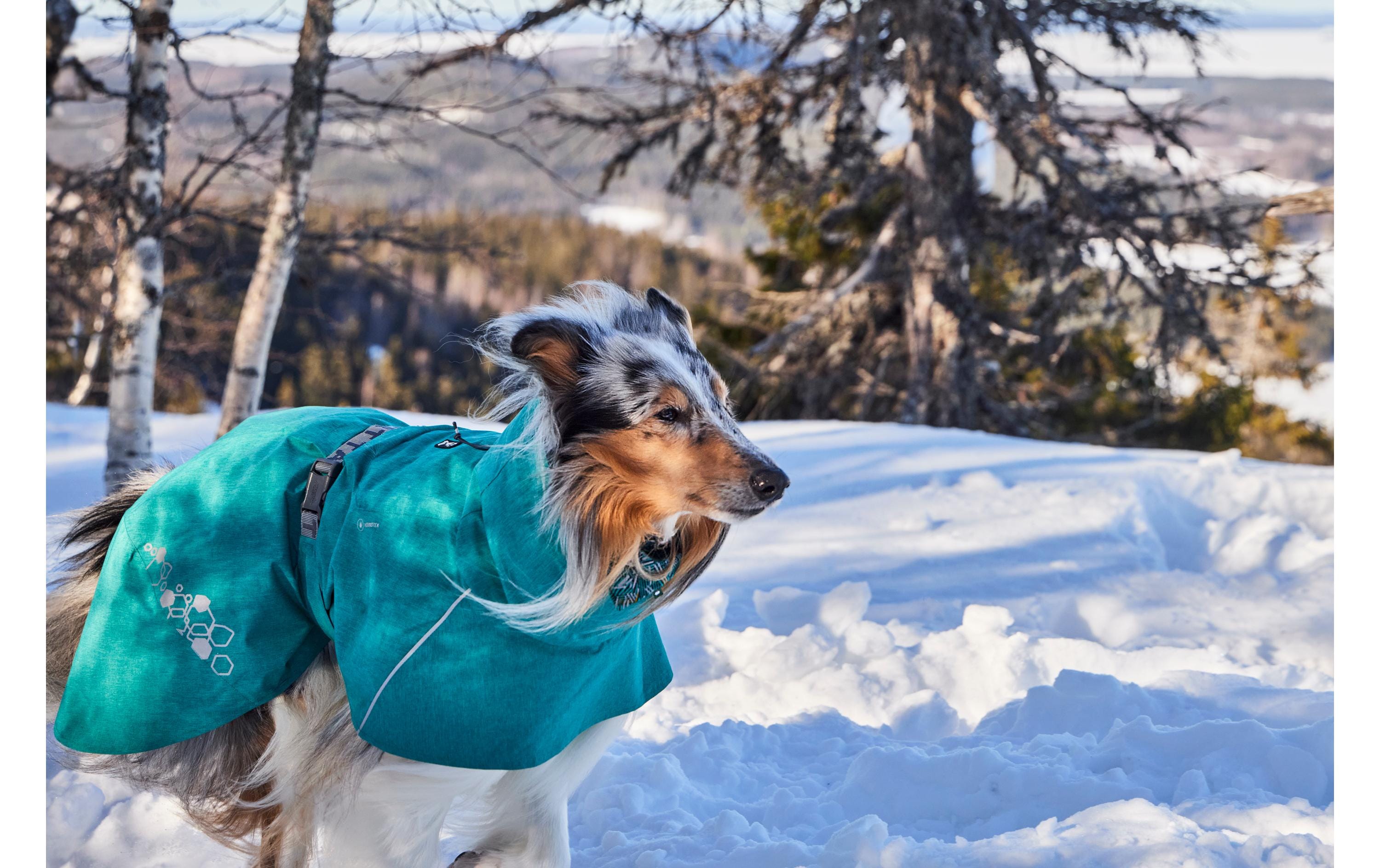 HURTTA Regenmantel Monsoon V2 Eco Grün, 45XS HURTTA Regenmantel Monsoon V2 Eco Grün, 45XS