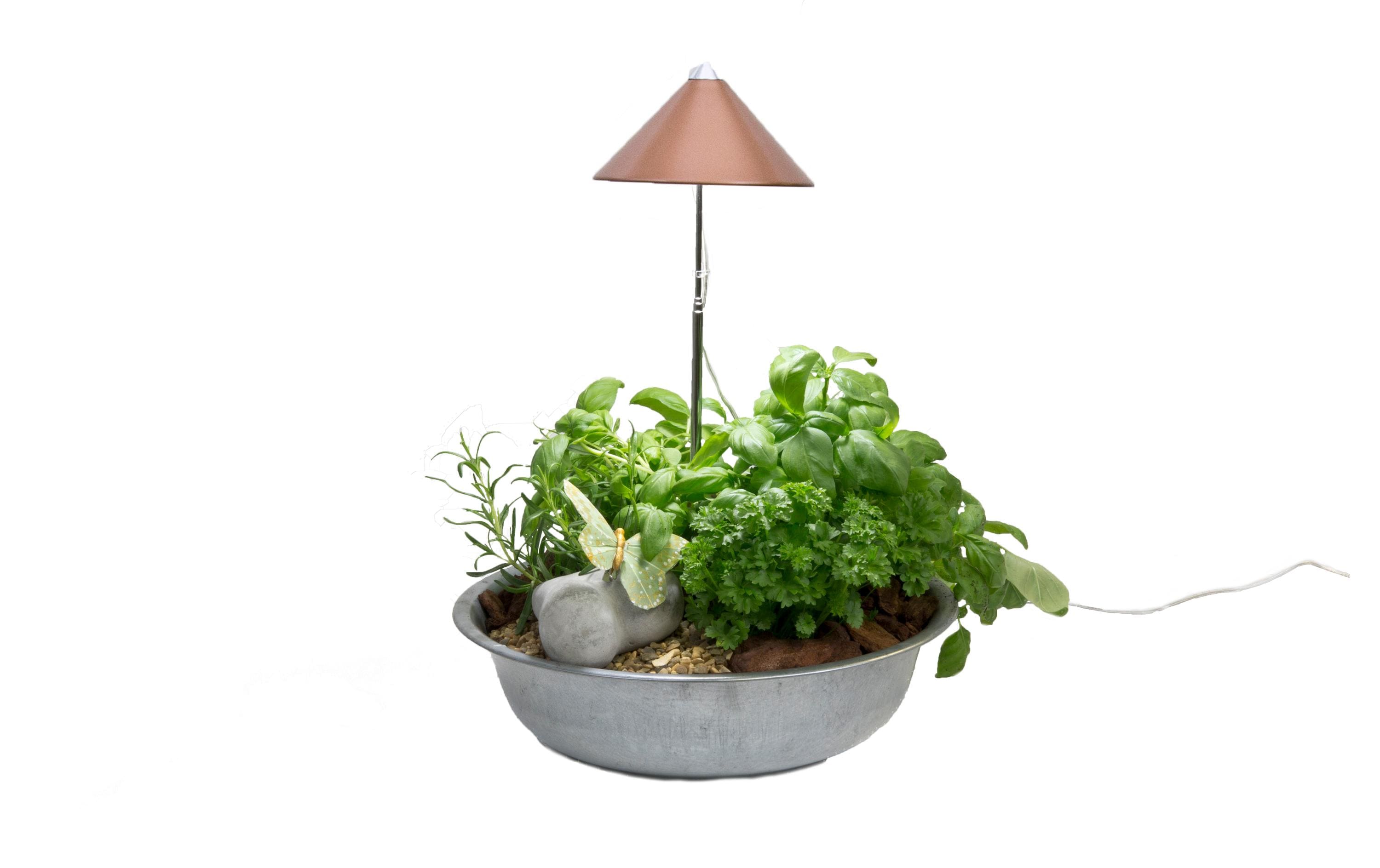 Venso Solutions Pflanzenleuchte SunLite 7 W, Kupfer