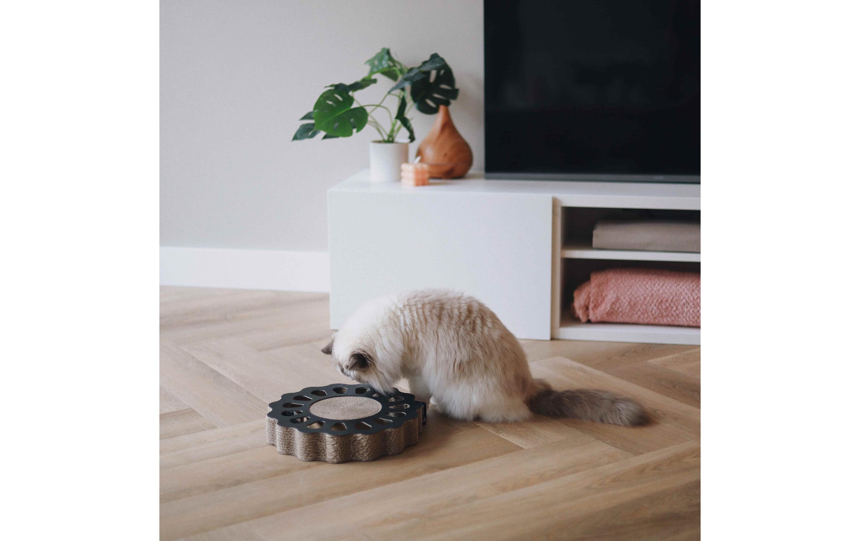 District 70 Katzen-Spielzeug Spielboard Sunny Black, 32 x 32 x 6 cm