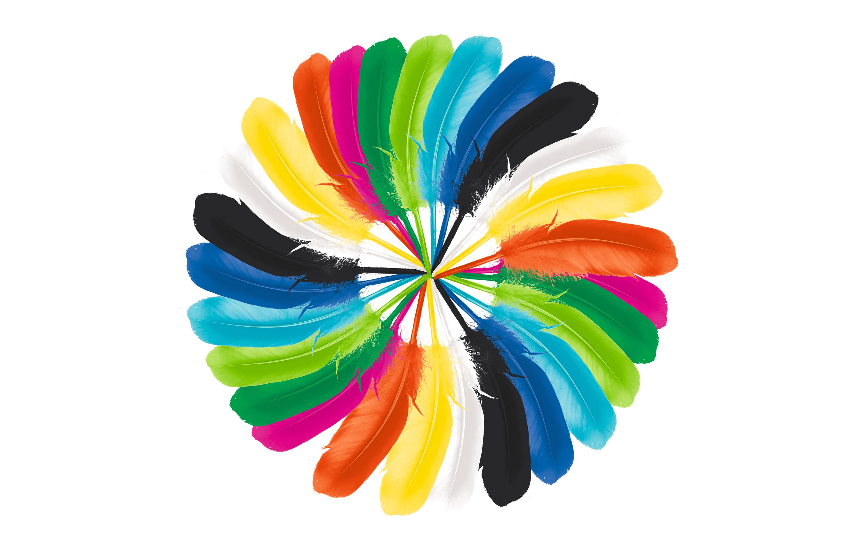 URSUS Federn 300 Stück, Mehrfarbig